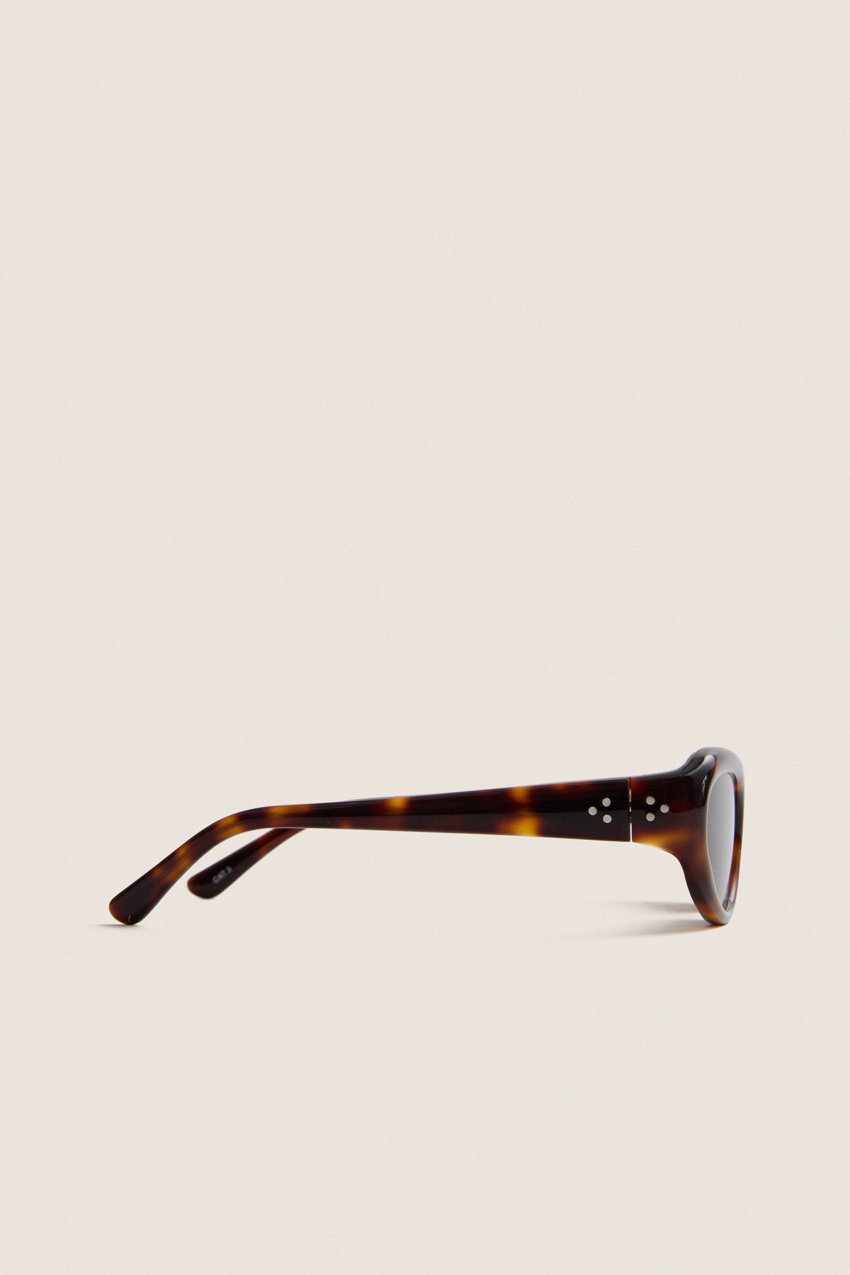 Dark Tortoise Robyn Sunglasses
