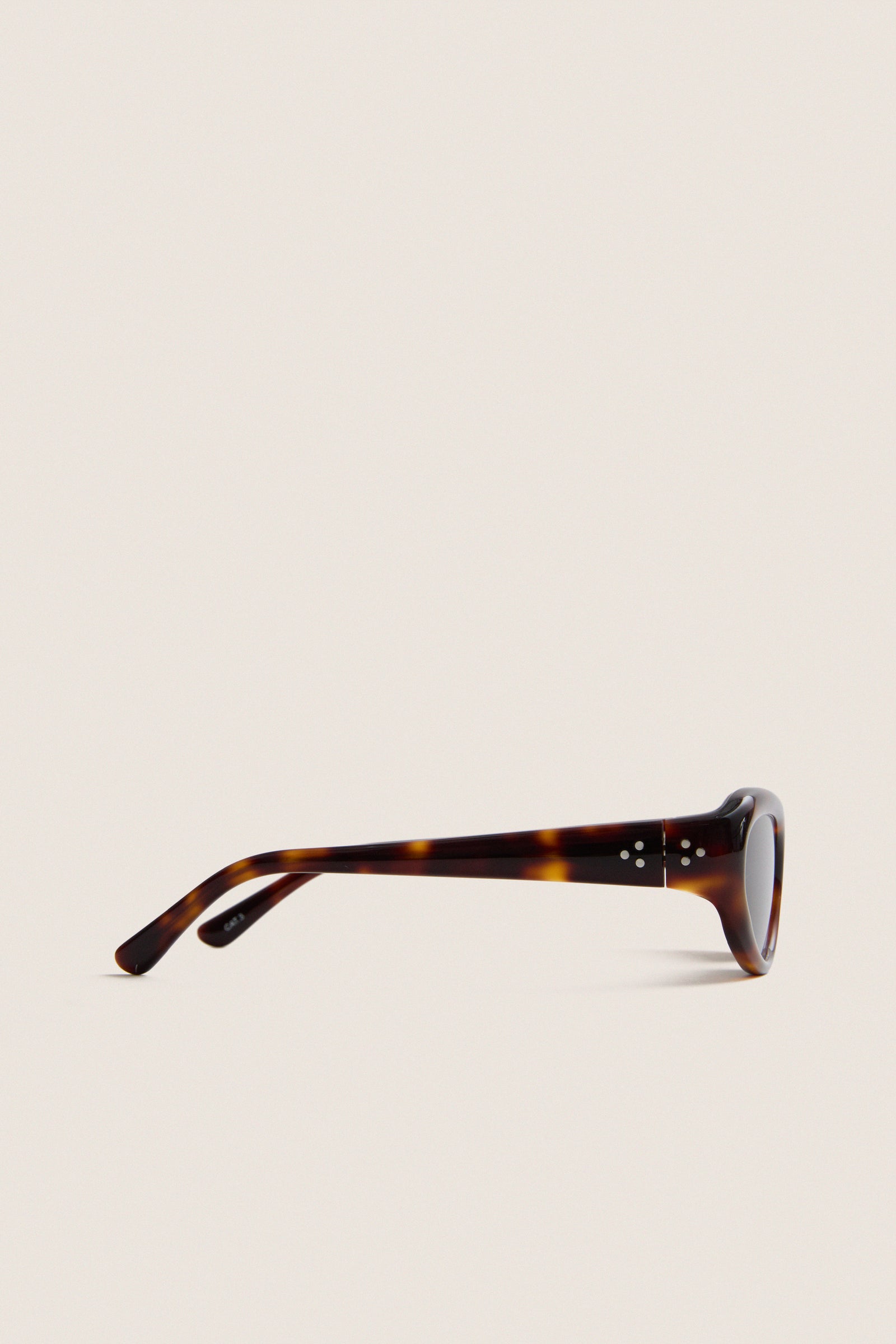 Dark Tortoise Robyn Sunglasses