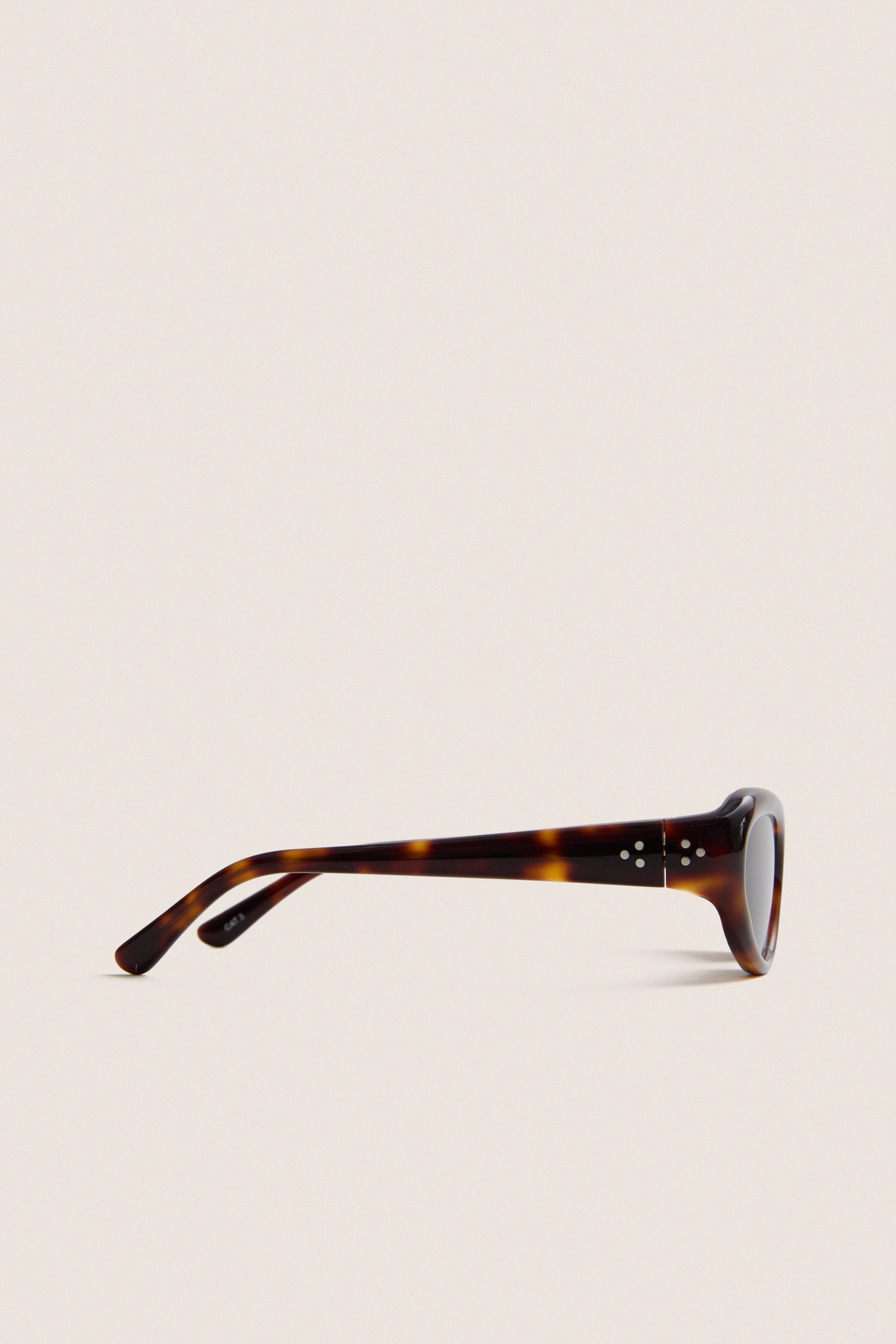 Dark Tortoise Robyn Sunglasses