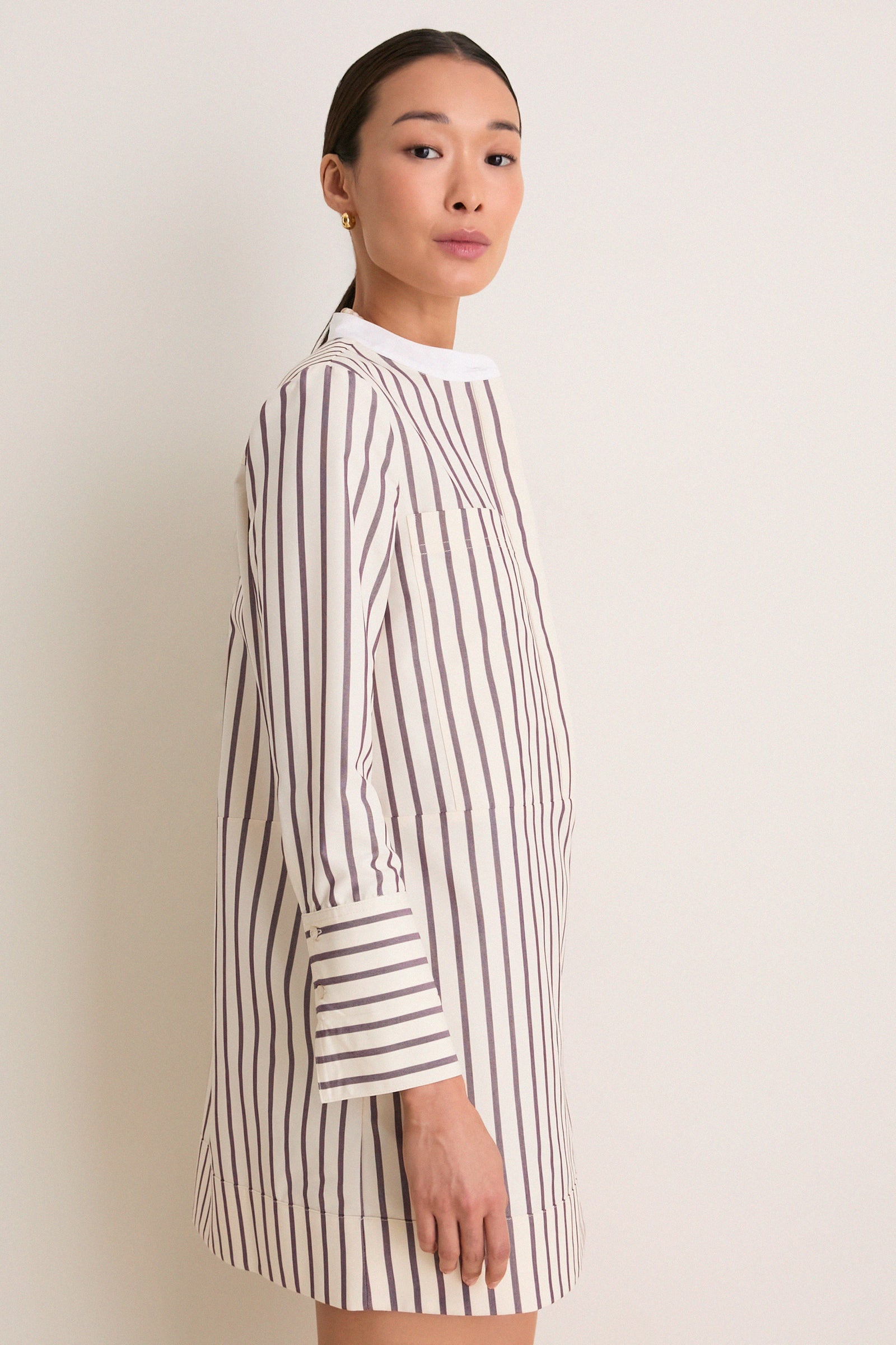 Wine Stripe Rohan Shirt Dress