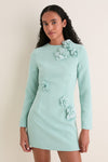 Sage Green Leonara Long Sleeved Mini Dress