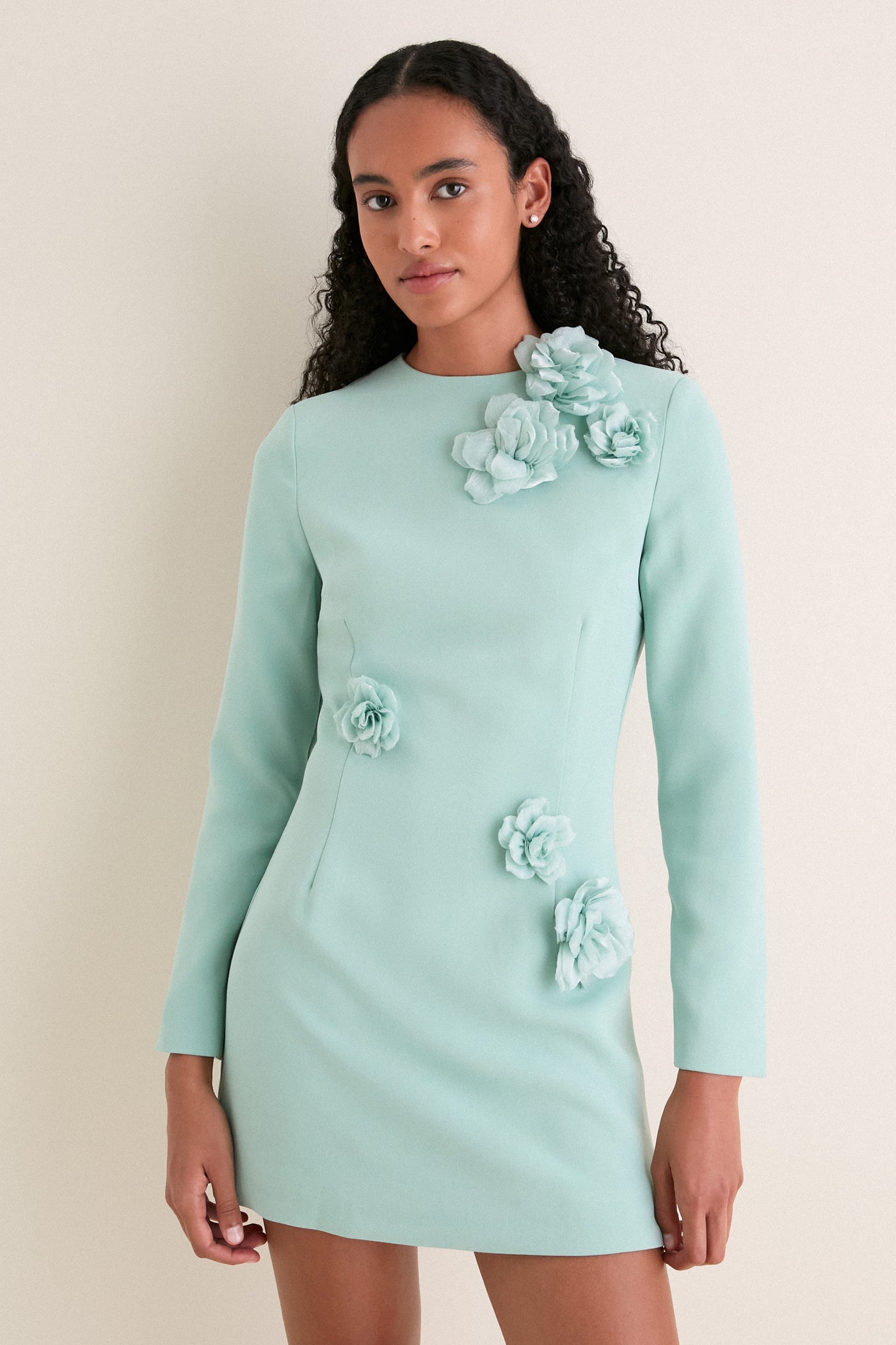 Sage Green Leonara Long Sleeved Mini Dress