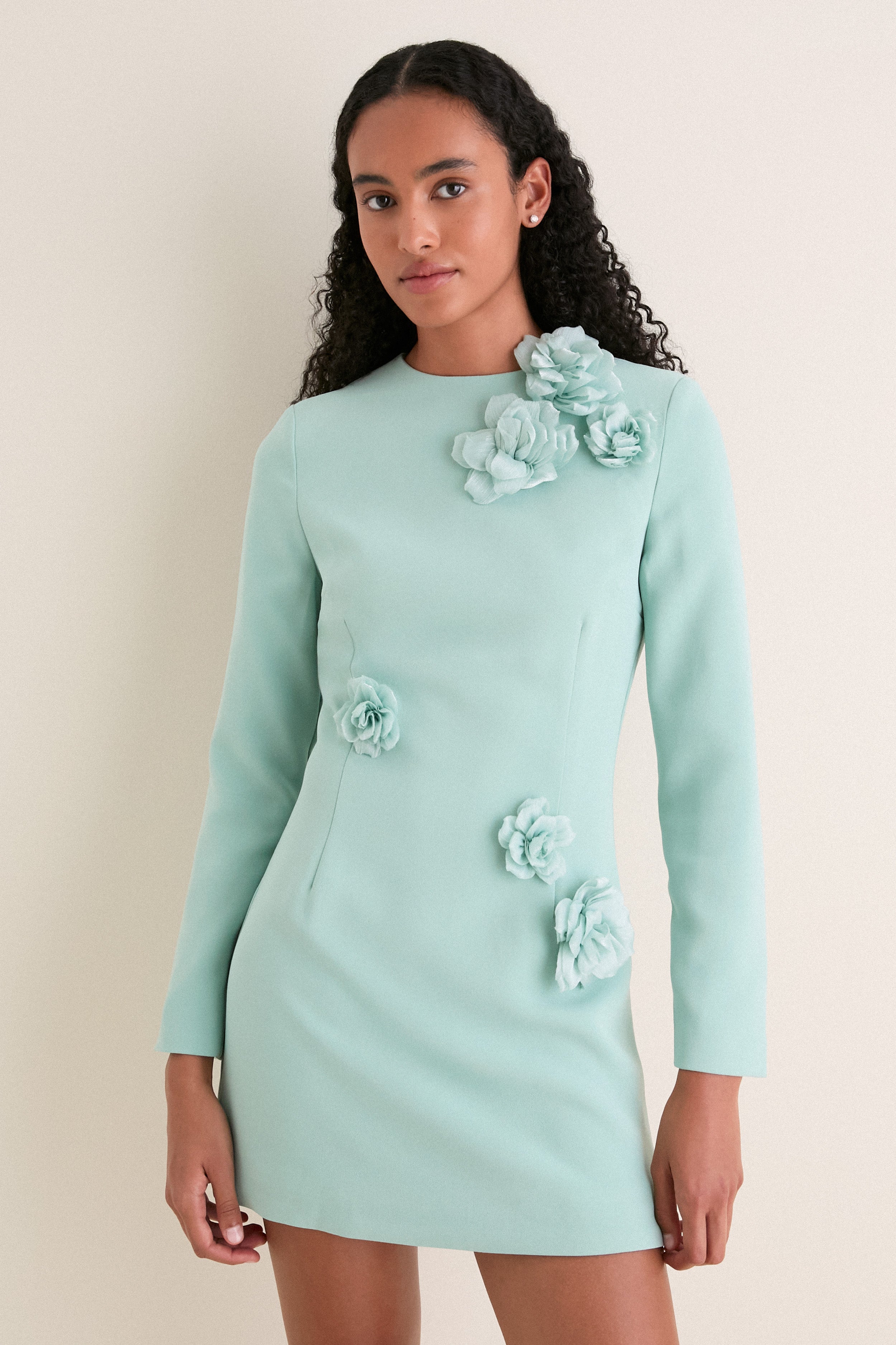 Sage Green Leonara Long Sleeved Mini Dress