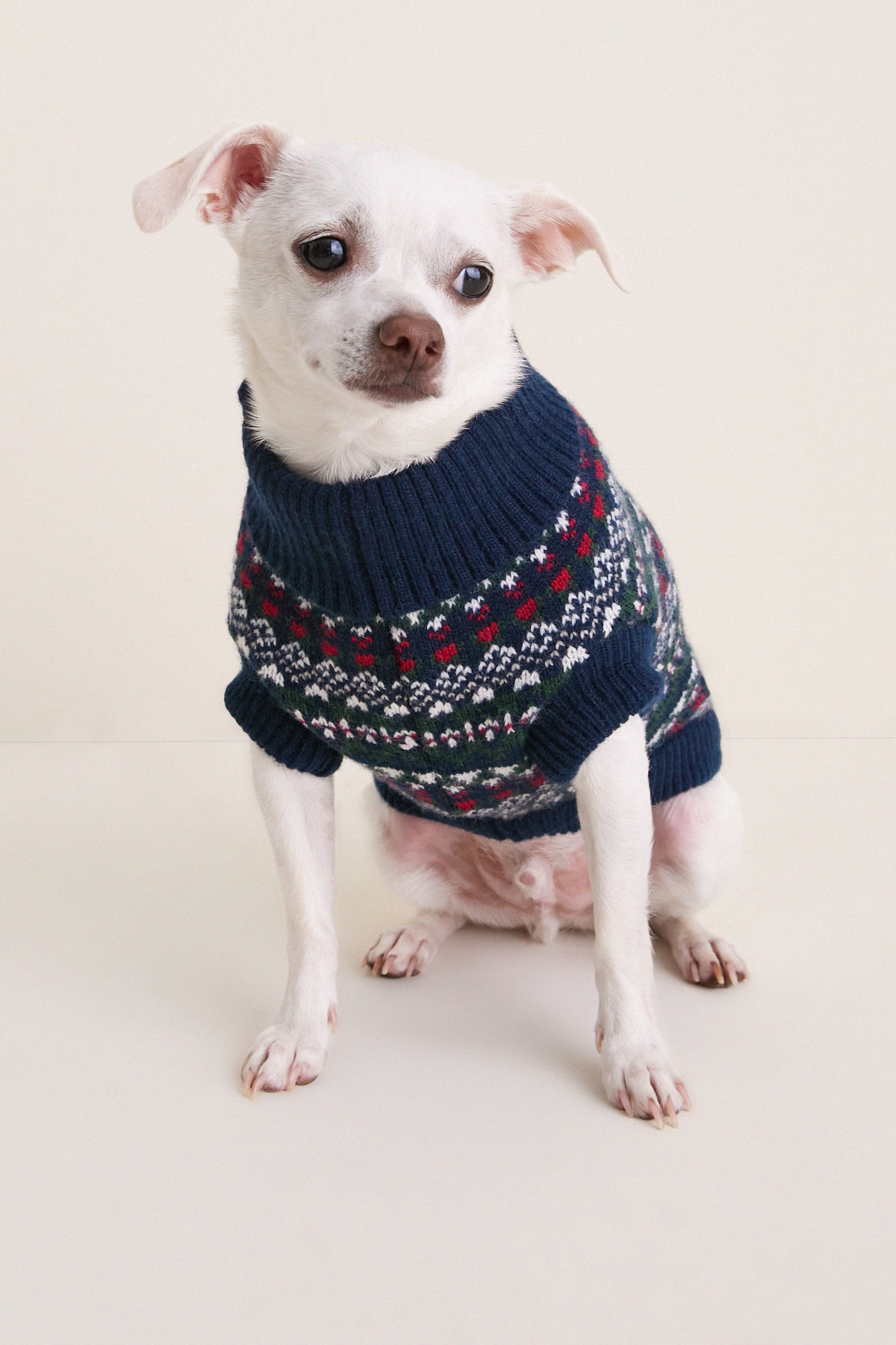 Navy Festive Marlow Fairisle Dog Jumper