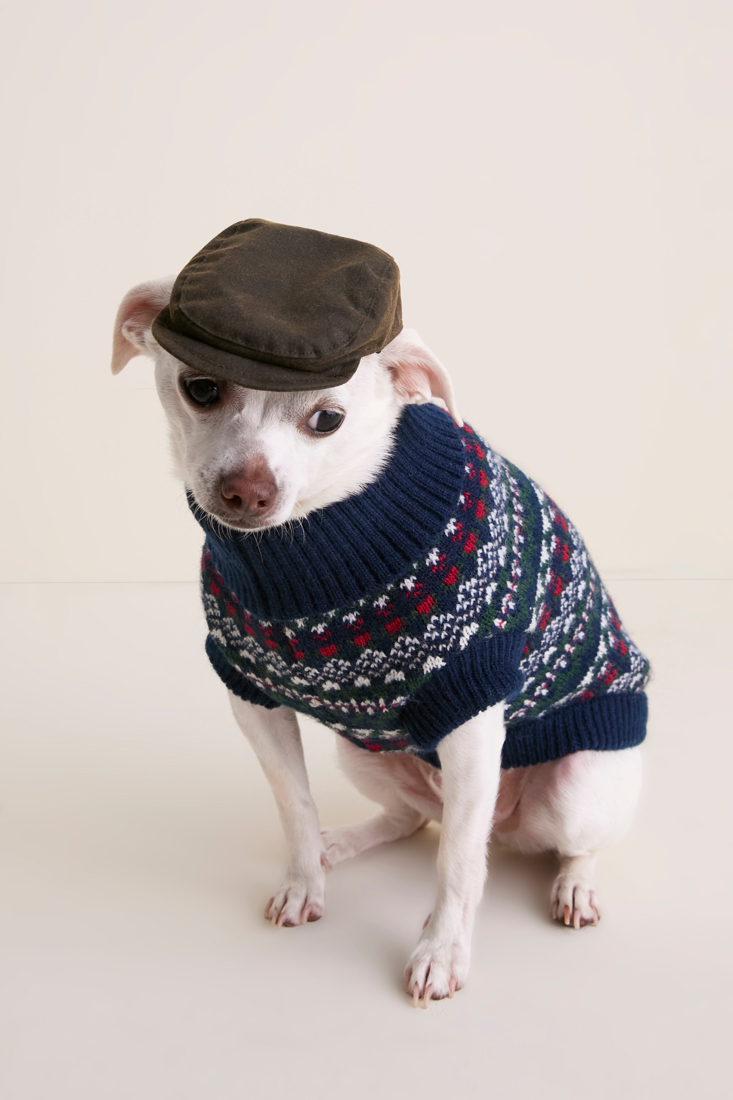 Olive Dog Wax Flat Cap