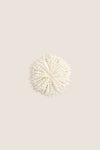 Pearl Flowers Shoe Clips Set