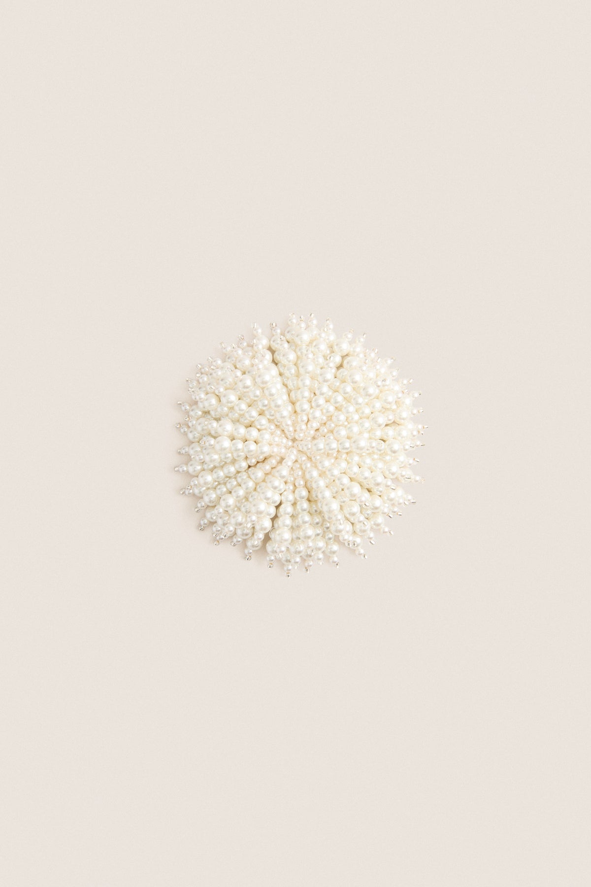 Pearl Flowers Shoe Clips Set