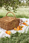 Natural Hudson Picnic Basket