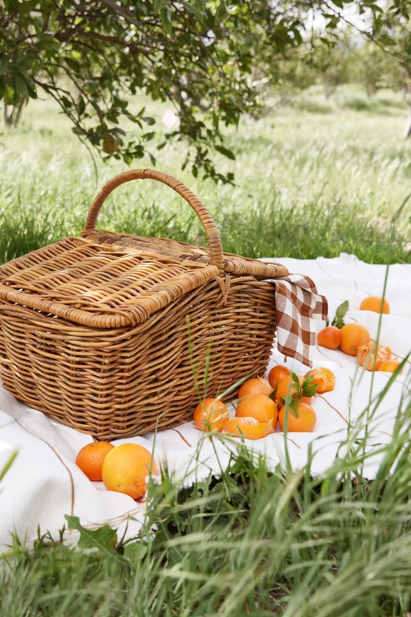Natural Hudson Picnic Basket