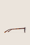 Shiny Medium Havana SL 822 Sunglasses