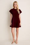 Burgundy Velvet Gwyn Mini Dress