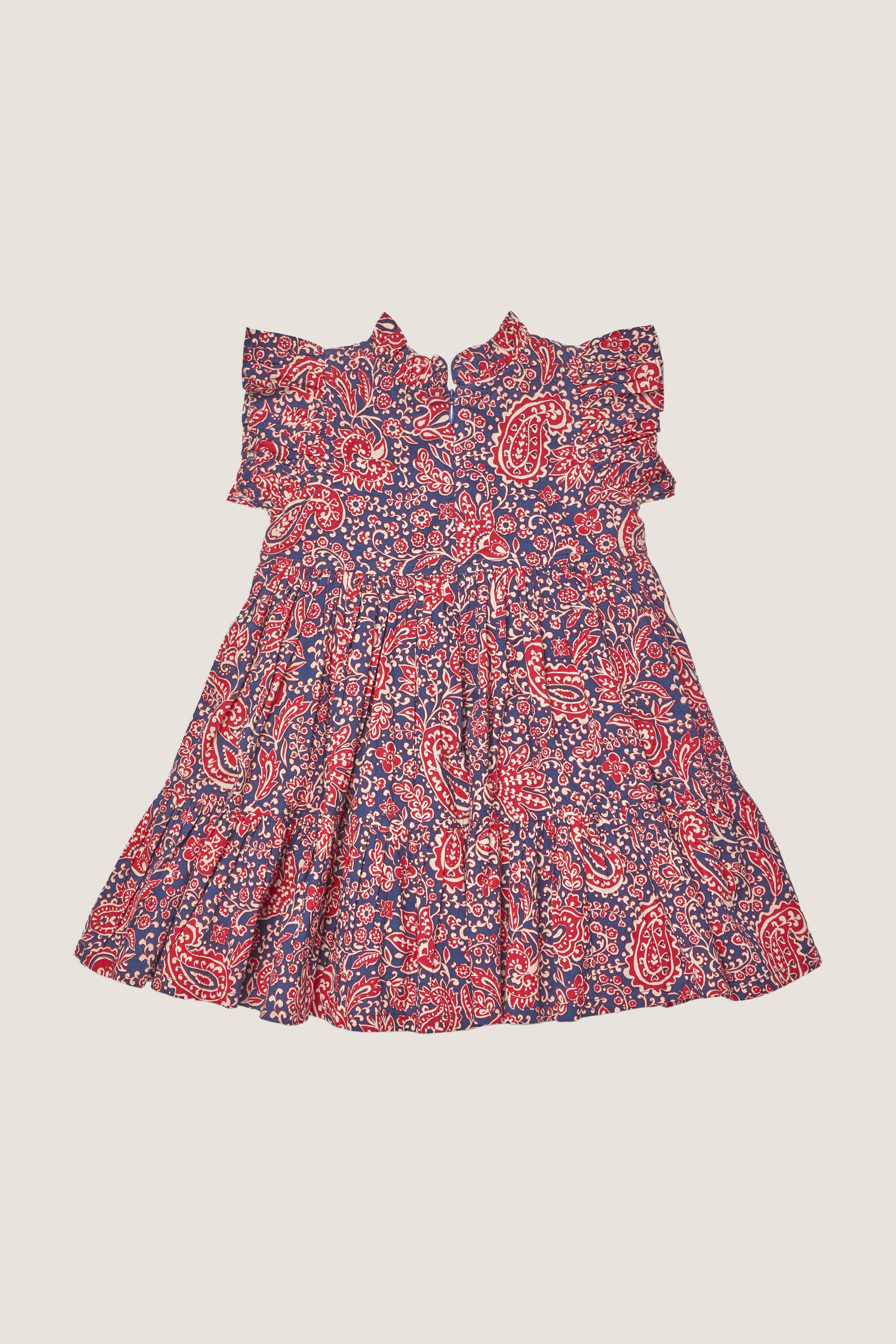 Paisley Vines Jennifer Dress