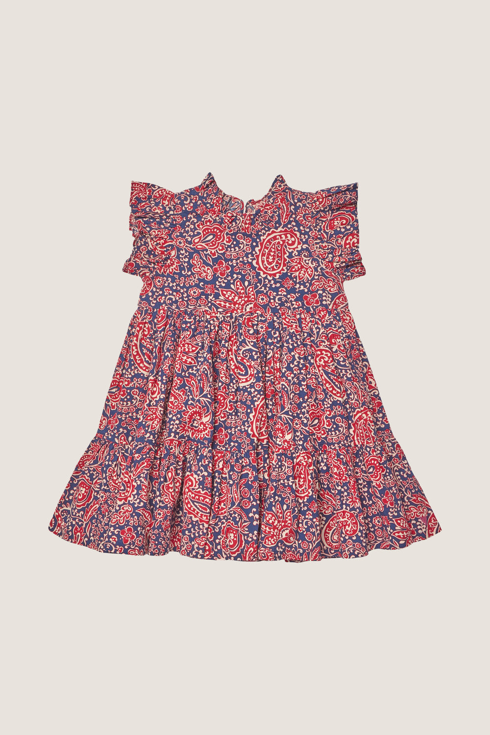 Paisley Vines Jennifer Dress