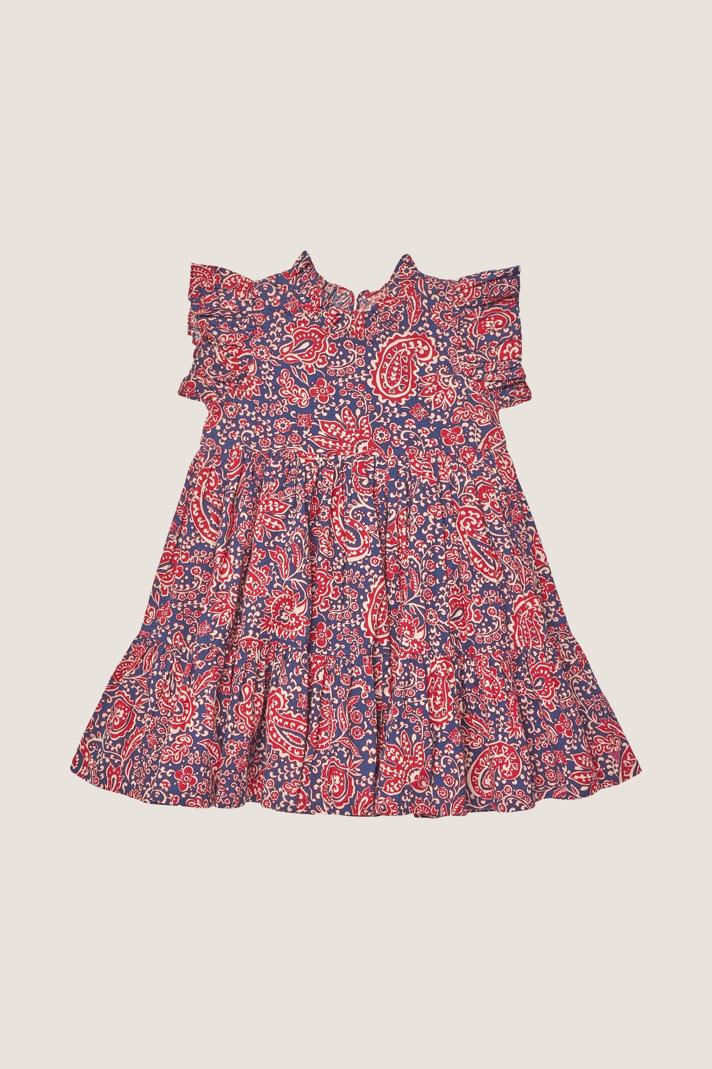 Paisley Vines Jennifer Dress