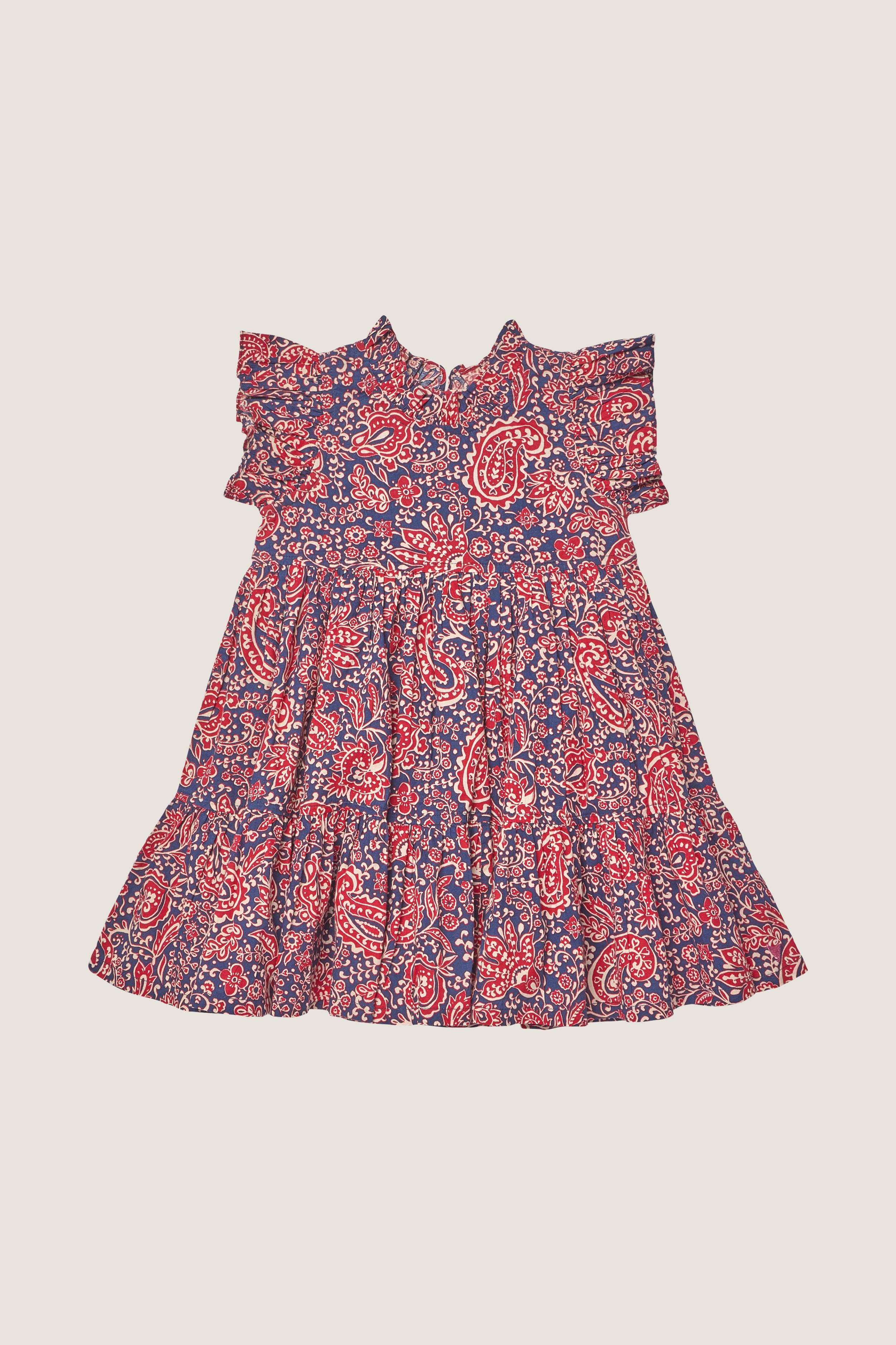 Paisley Vines Jennifer Dress