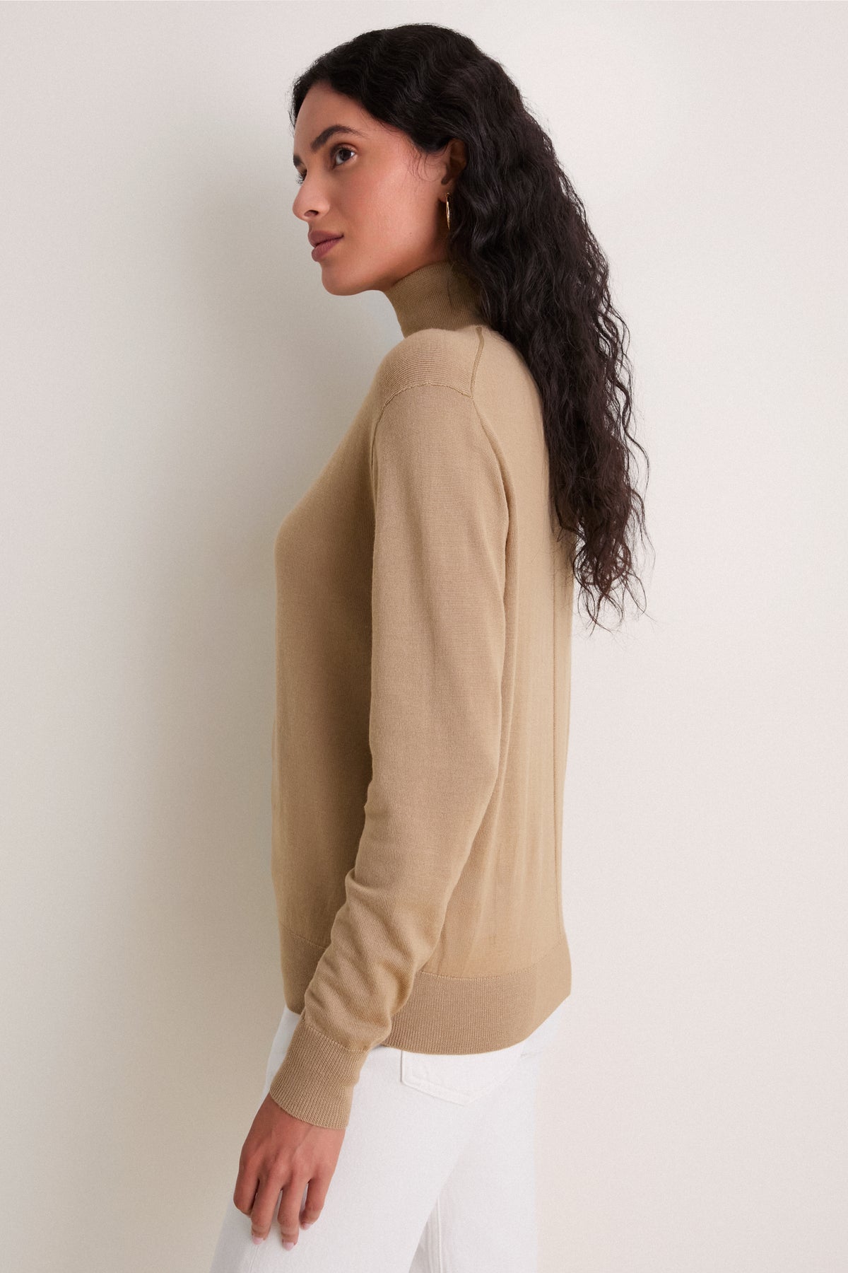 Camel Merino Whitney Turtleneck