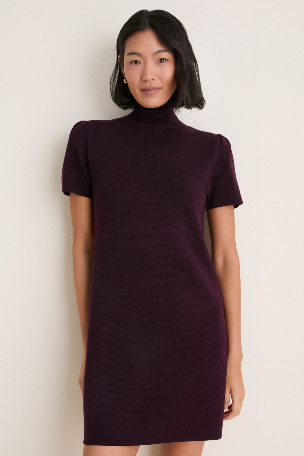 Plum Merino Hewitt Turtleneck Dress