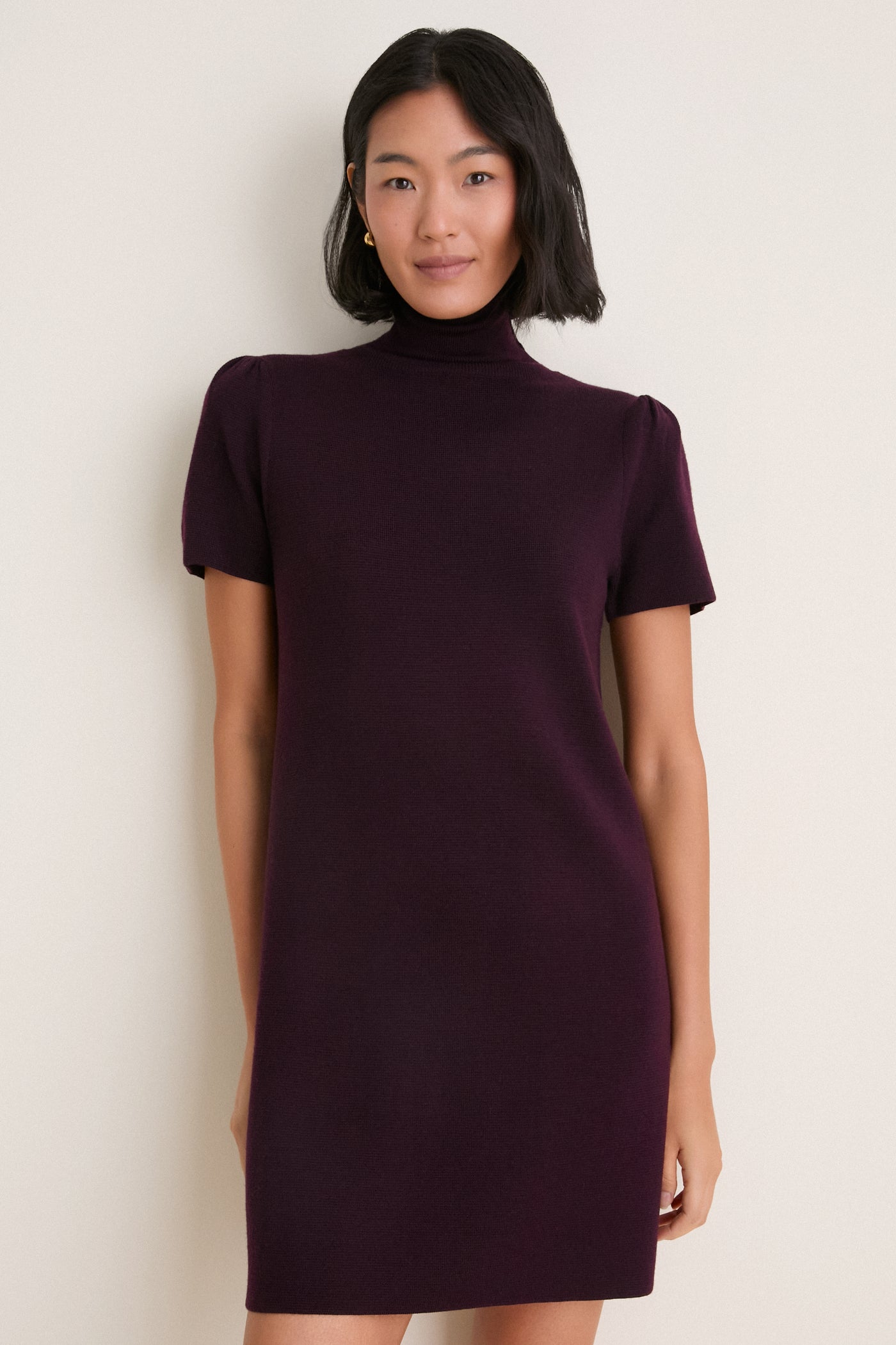 Plum Merino Hewitt Turtleneck Dress
