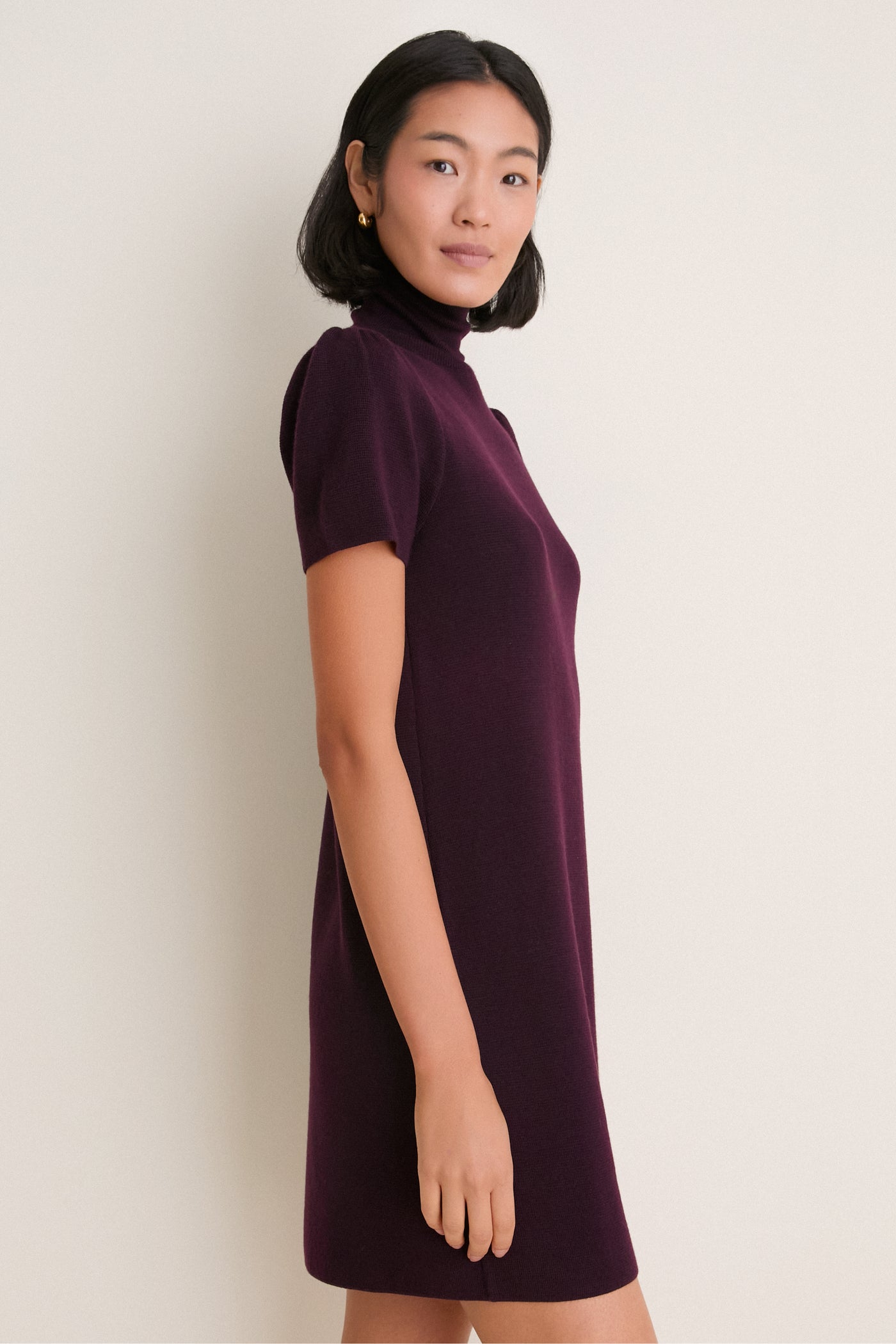 Plum Merino Hewitt Turtleneck Dress