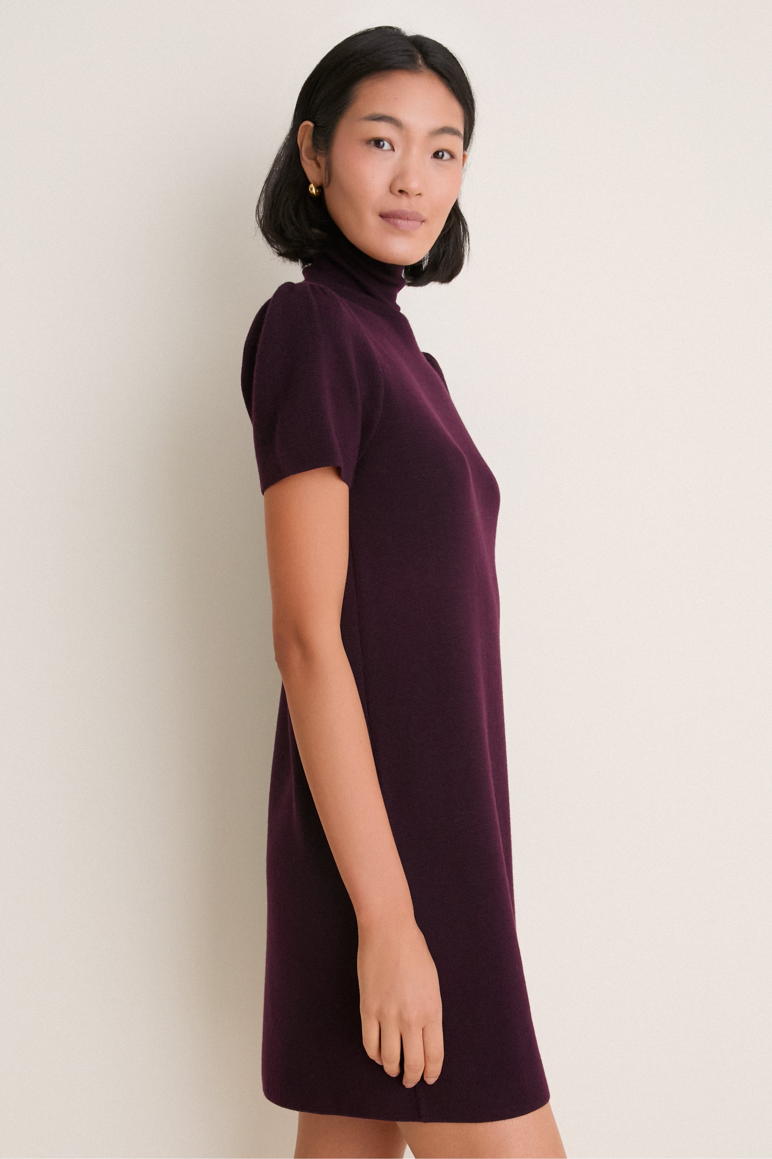Plum Merino Hewitt Turtleneck Dress