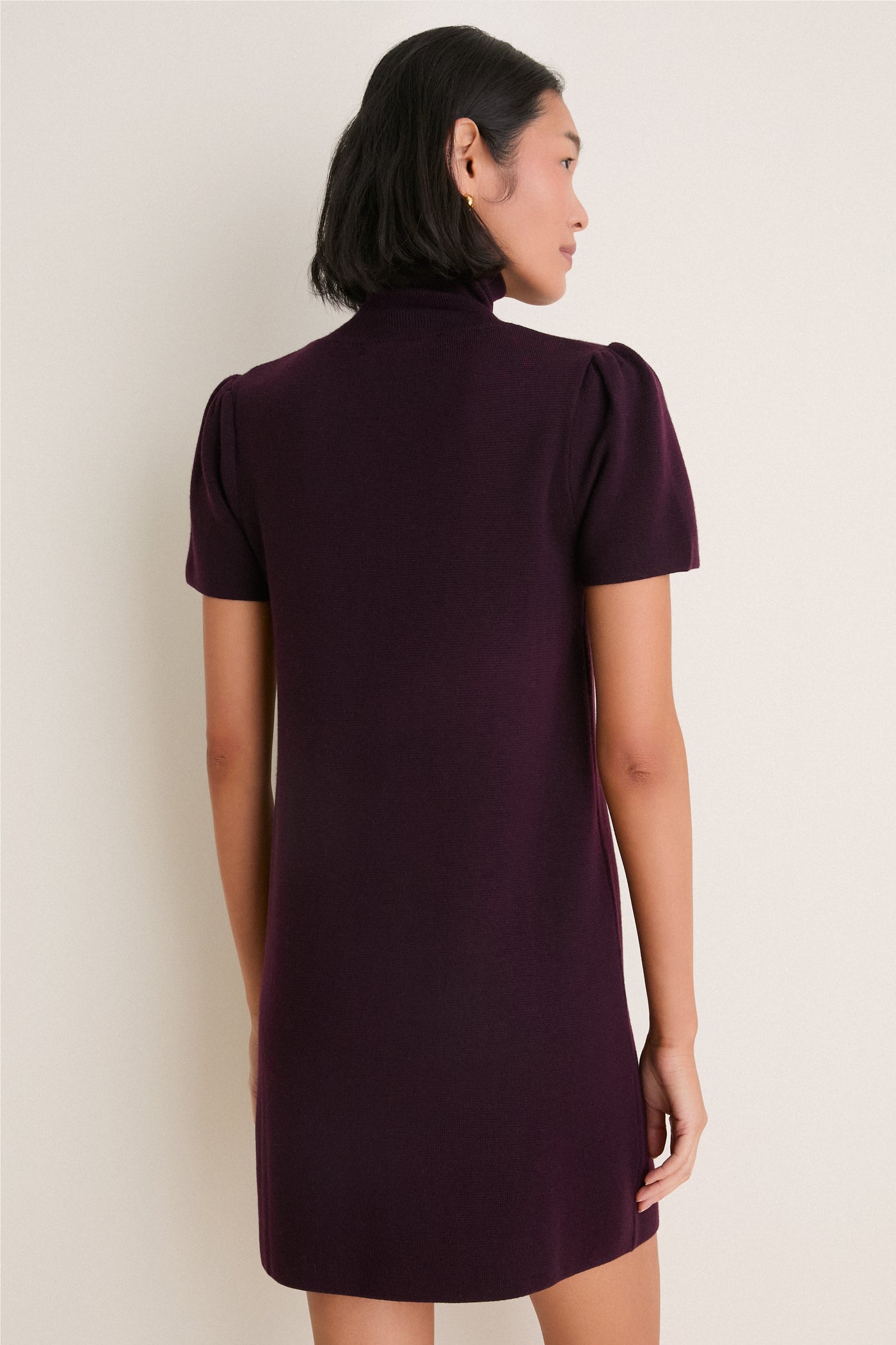 Plum Merino Hewitt Turtleneck Dress