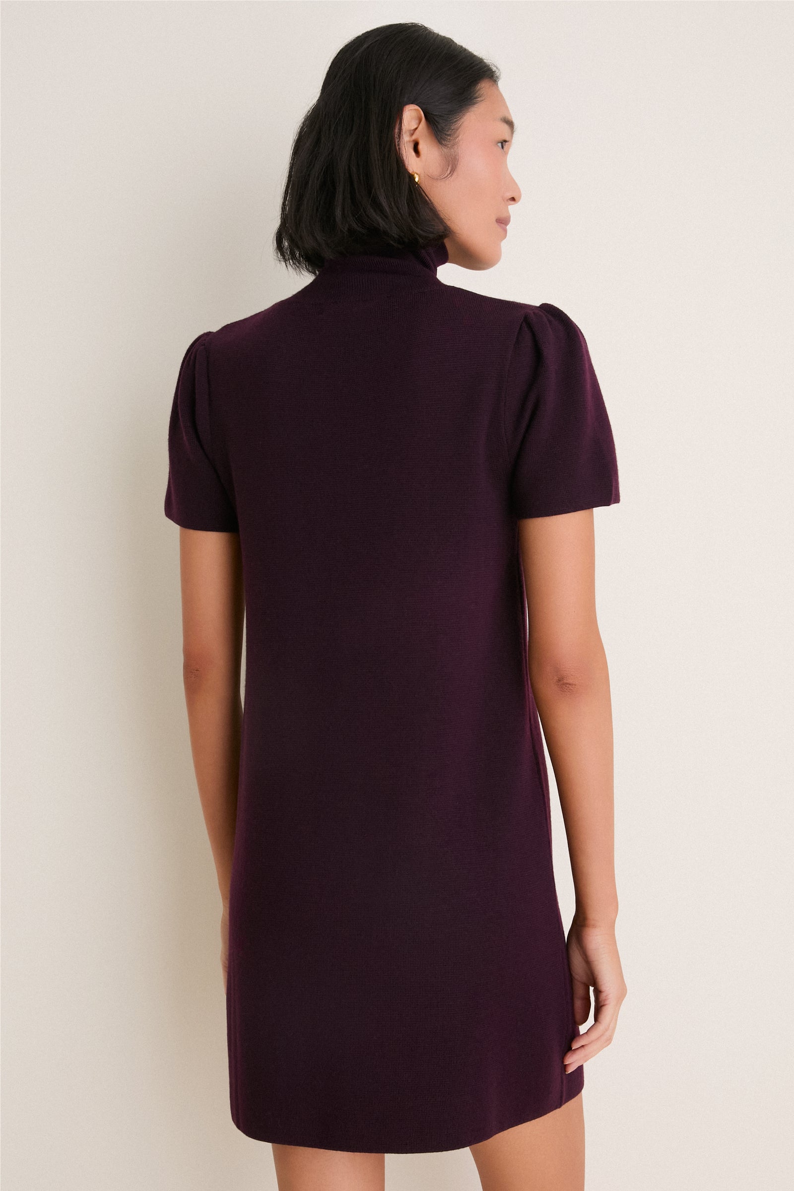 Plum Merino Hewitt Turtleneck Dress