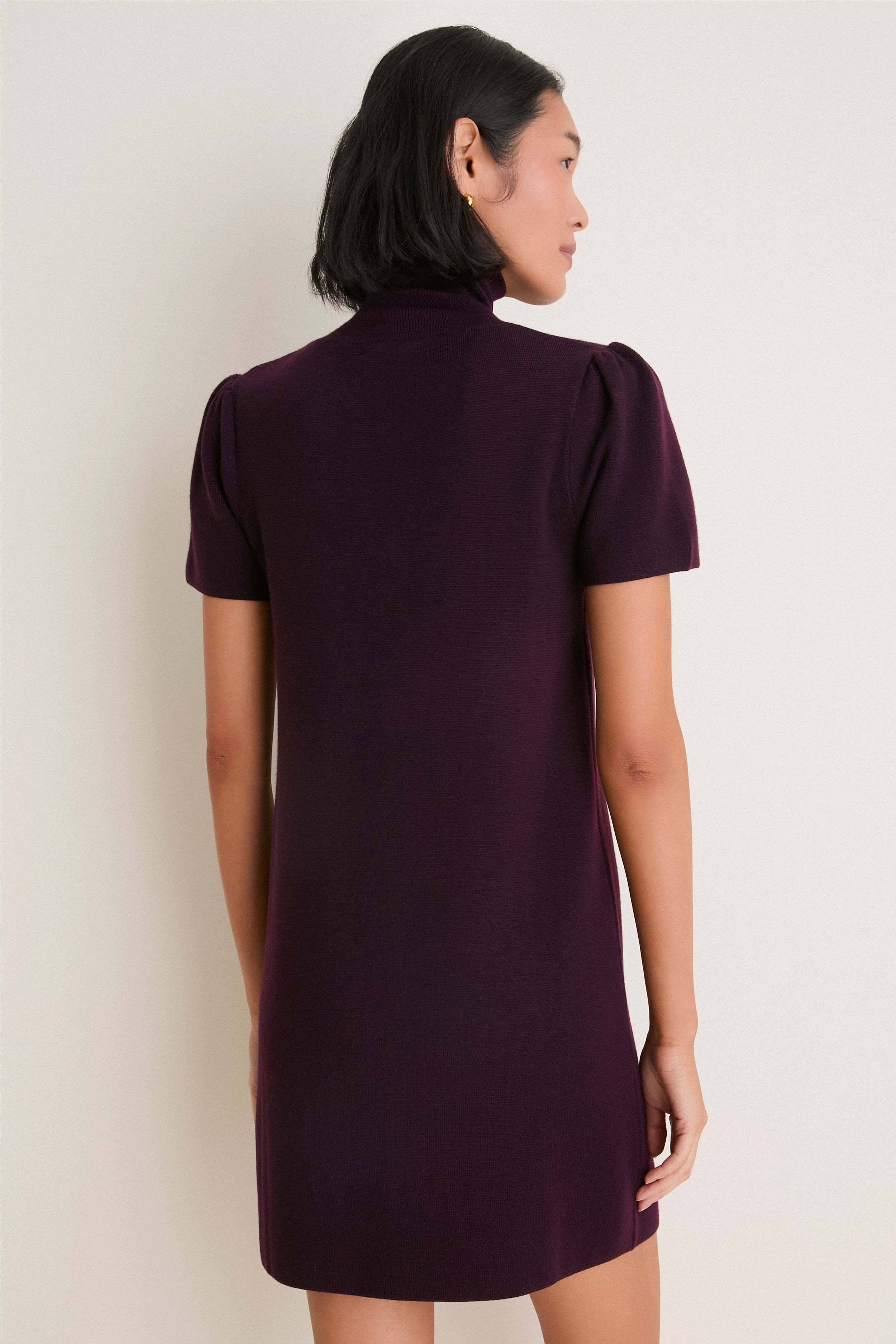 Plum Merino Hewitt Turtleneck Dress