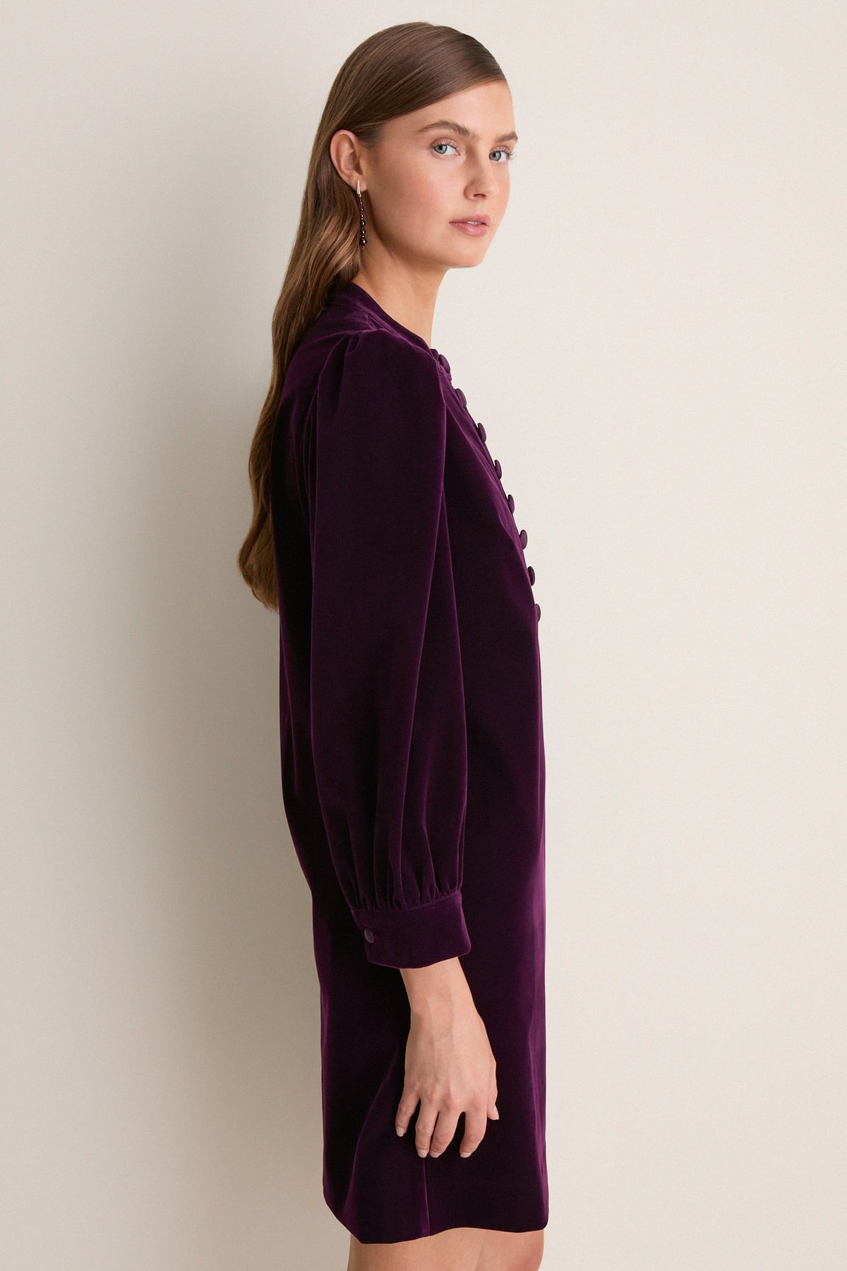 Plum Velvet Samantha Dress