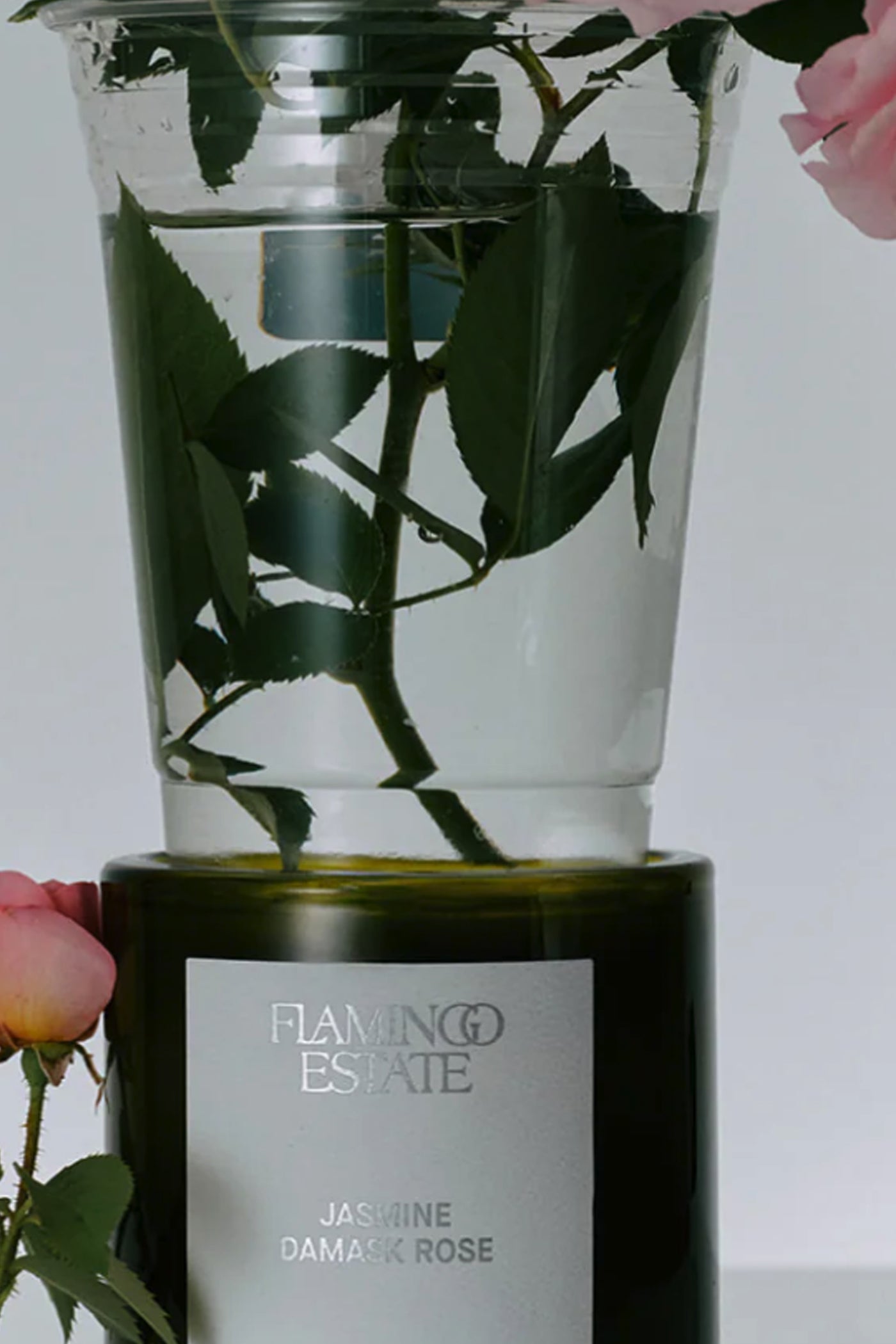Jasmine Damask Rose Candle
