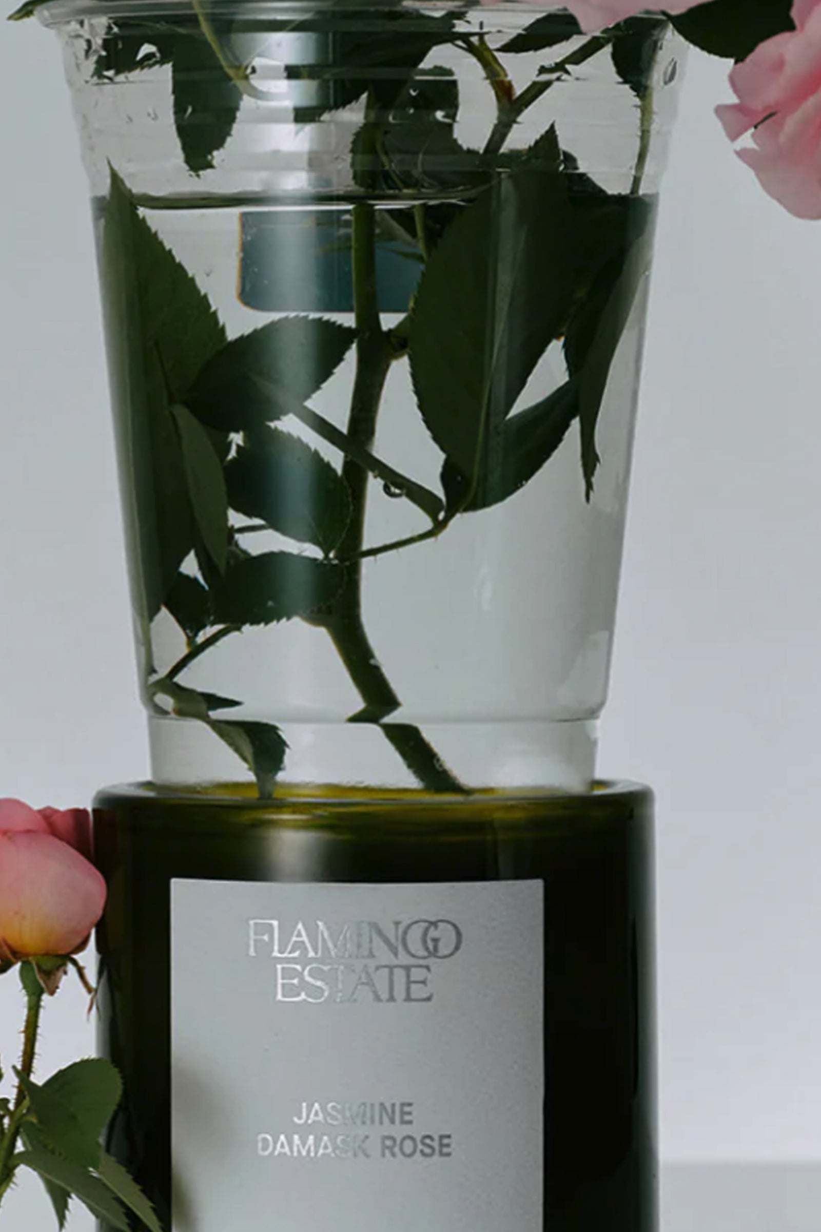 Jasmine Damask Rose Candle