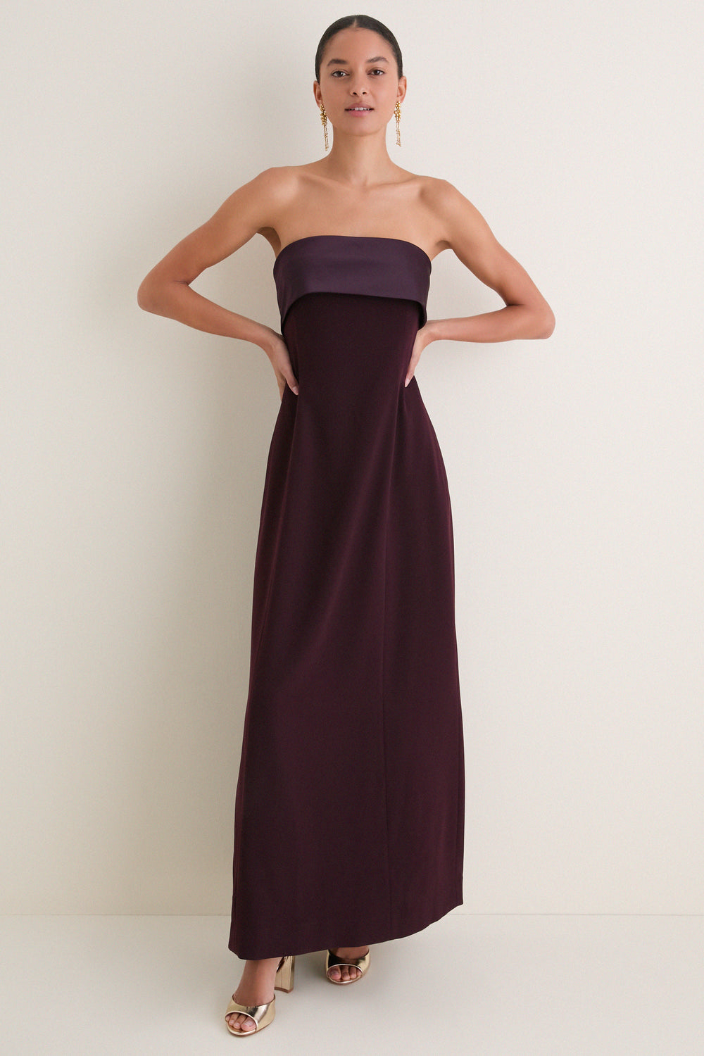 Aubergine Strapless Anita Dress