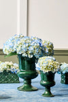 Basil Berry and Thread Petite Parterre Garden 5in Vase