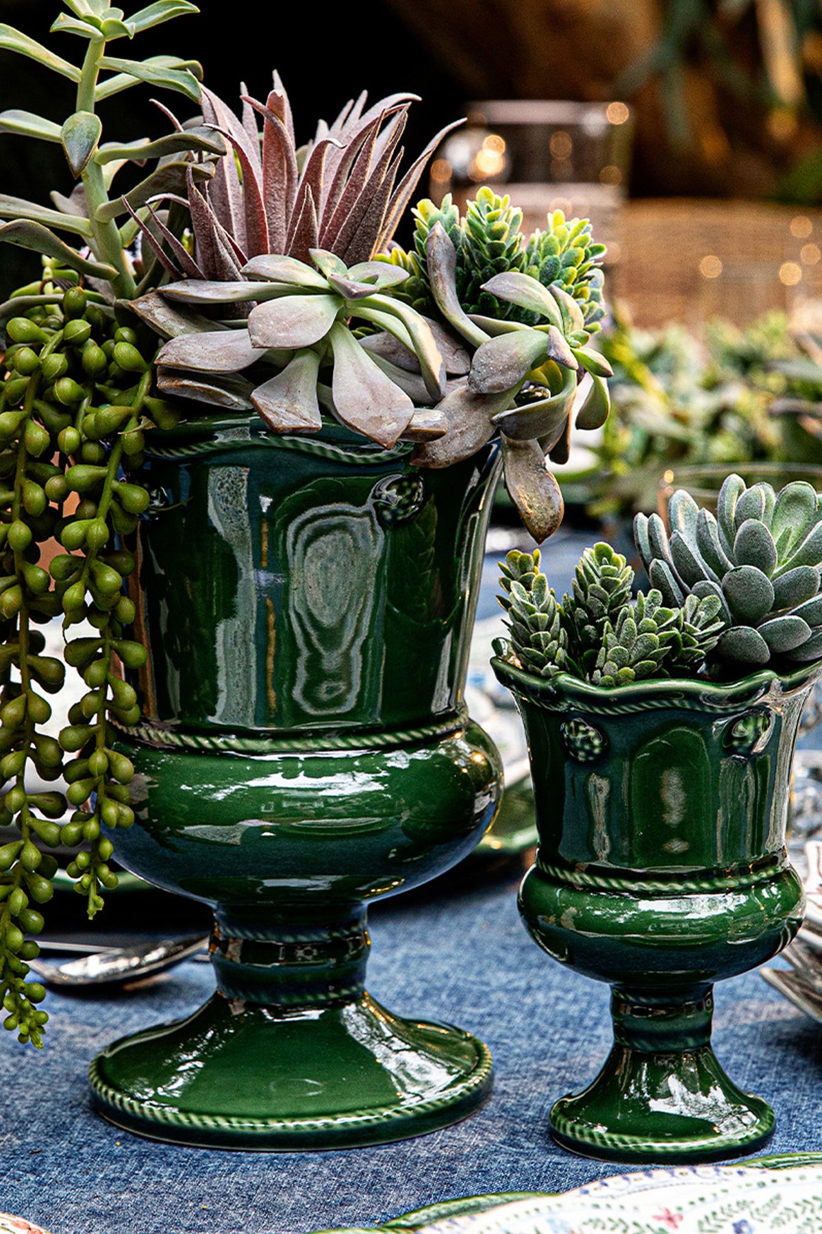 Basil Berry and Thread Petite Parterre Garden 8in Vase