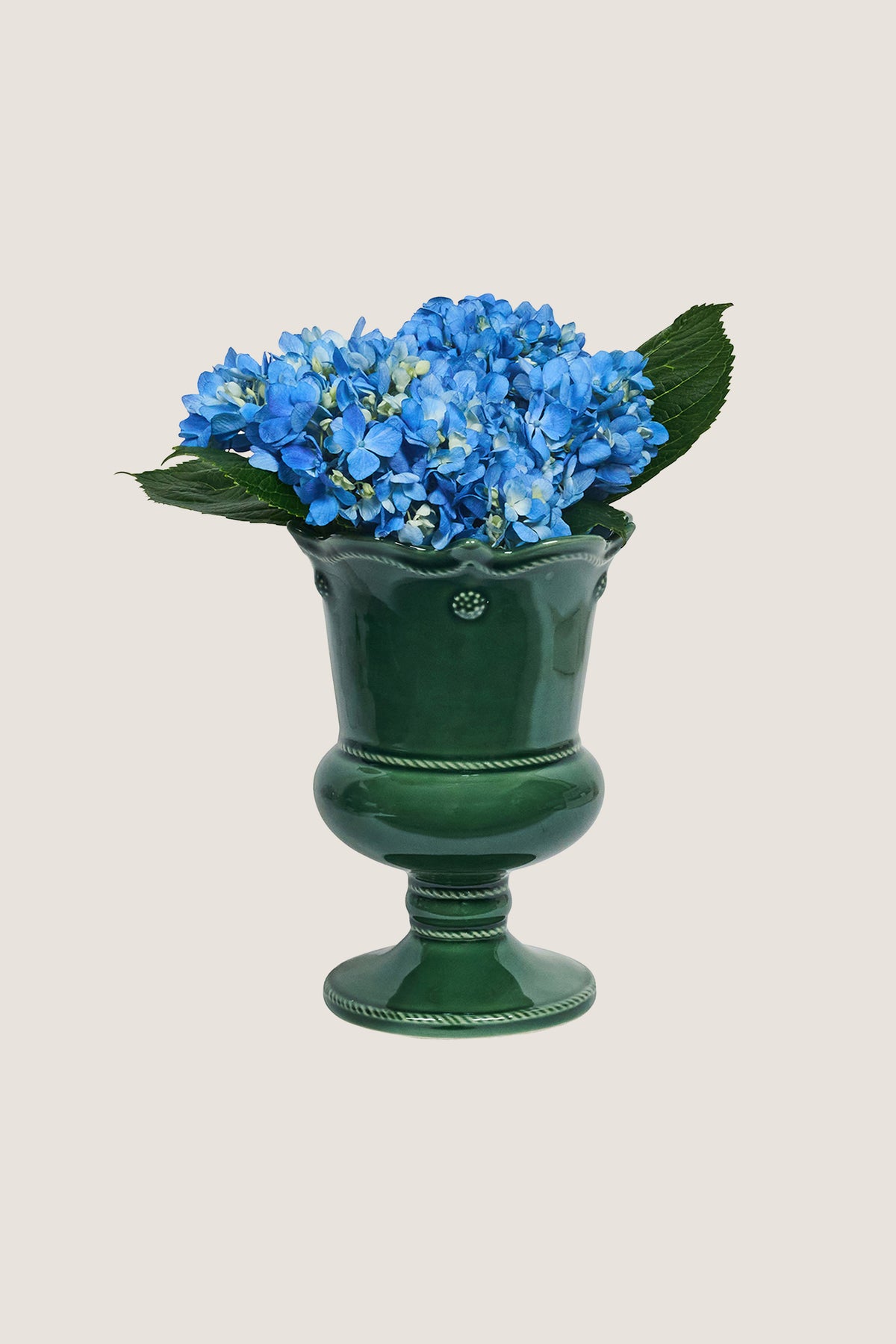 Basil Berry and Thread Petite Parterre Garden 8in Vase