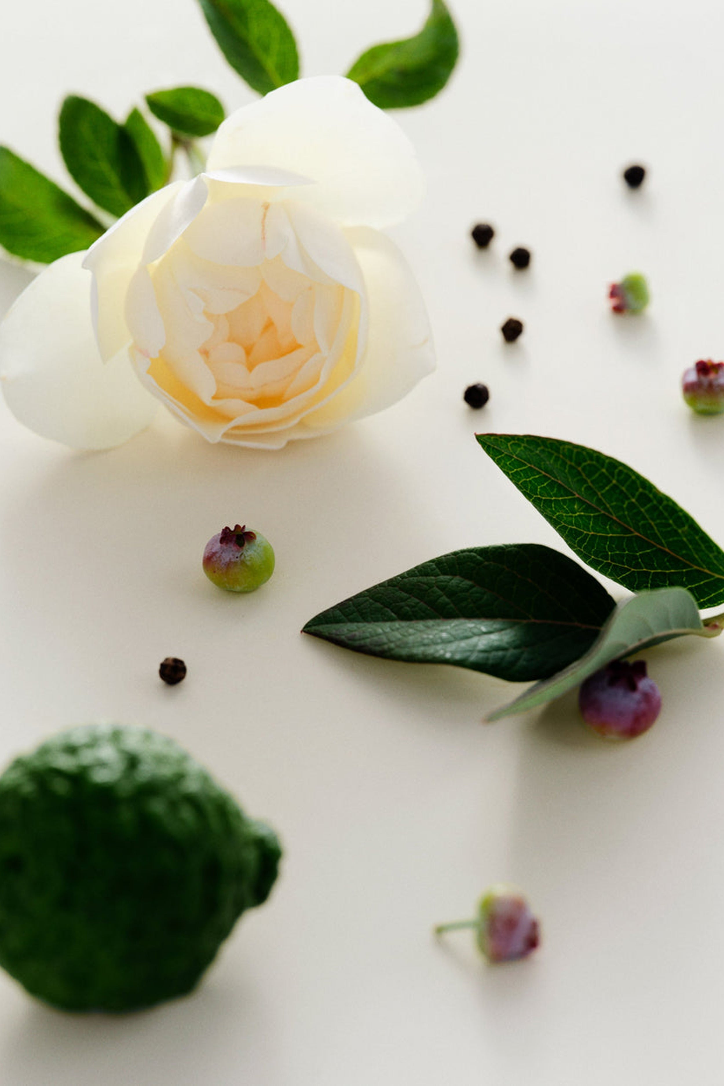 Antidris Cassis Candle