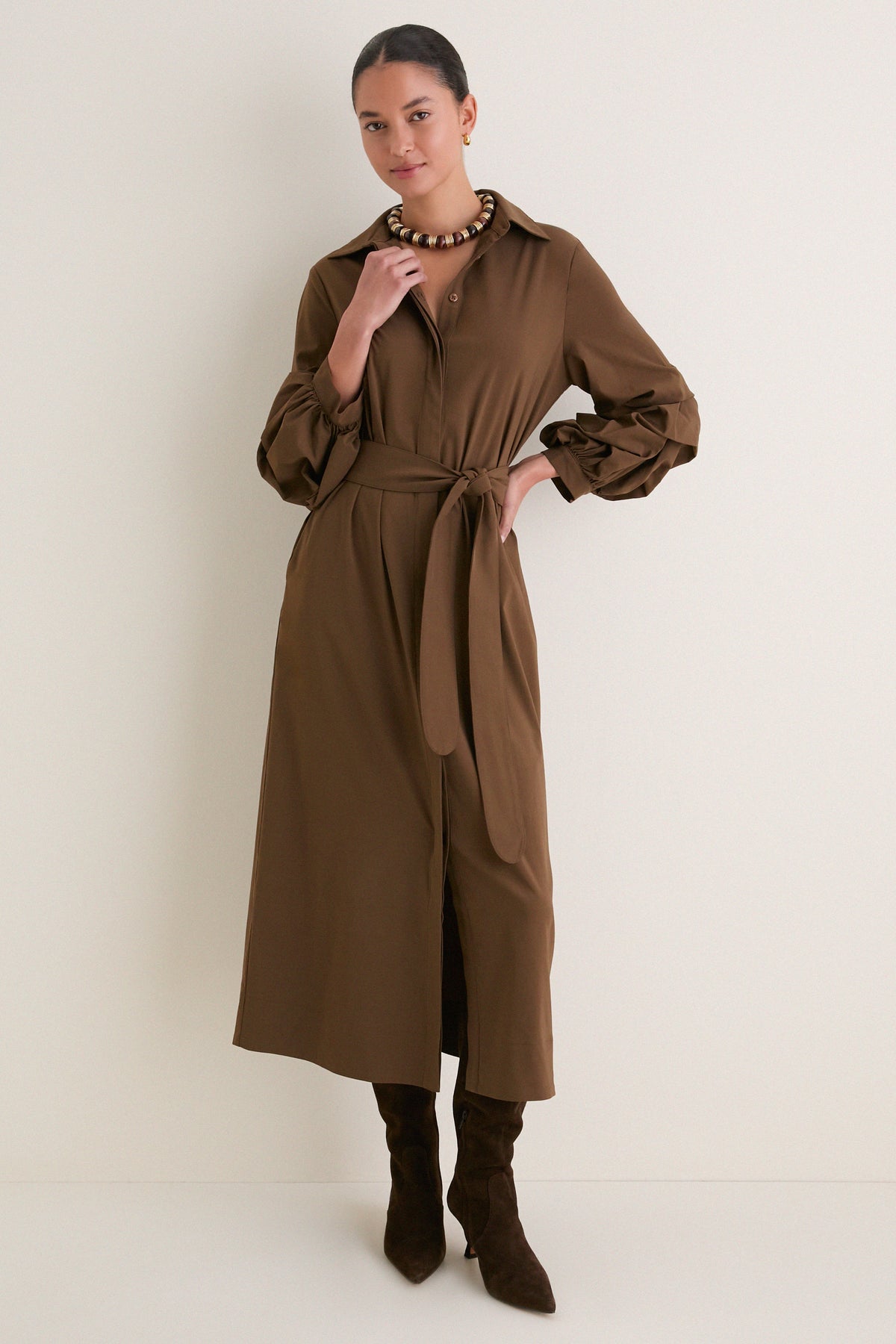 Brown Alessia Maxi Dress