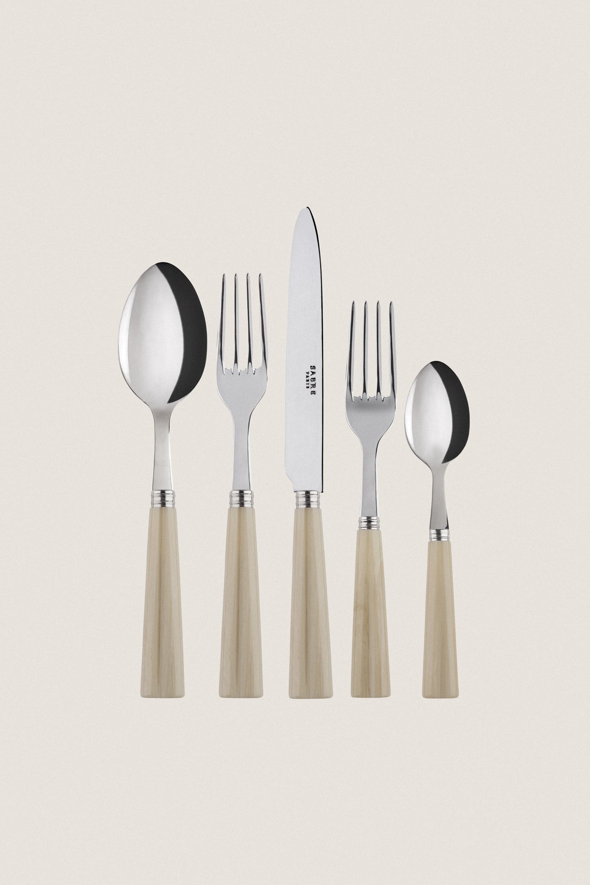 Faux Horn Nature 5 Piece Place Setting