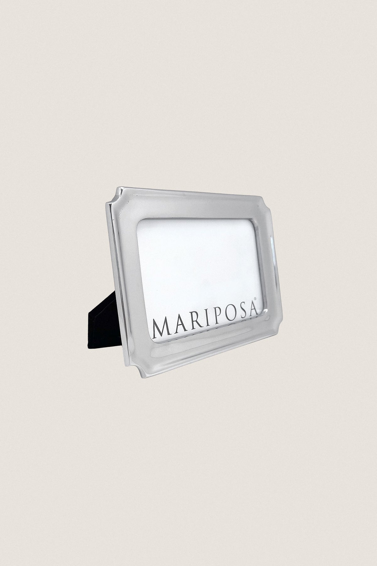 Silver Linzee 4x6 Frame