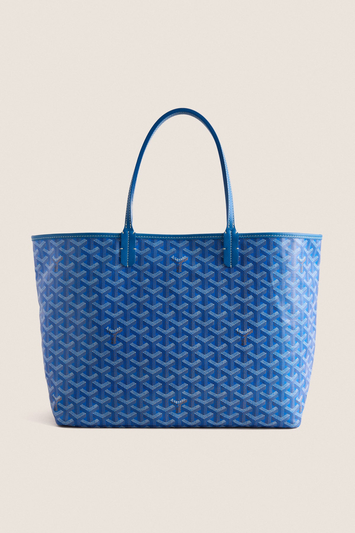 GOYARD Sky Blue Goyardine Saint Louis PM Tote
