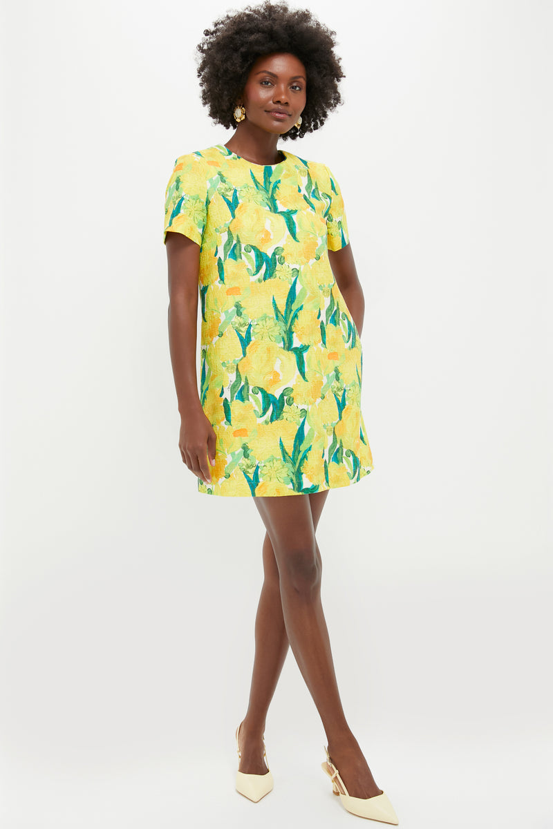 Zesty Mini Swing Dress