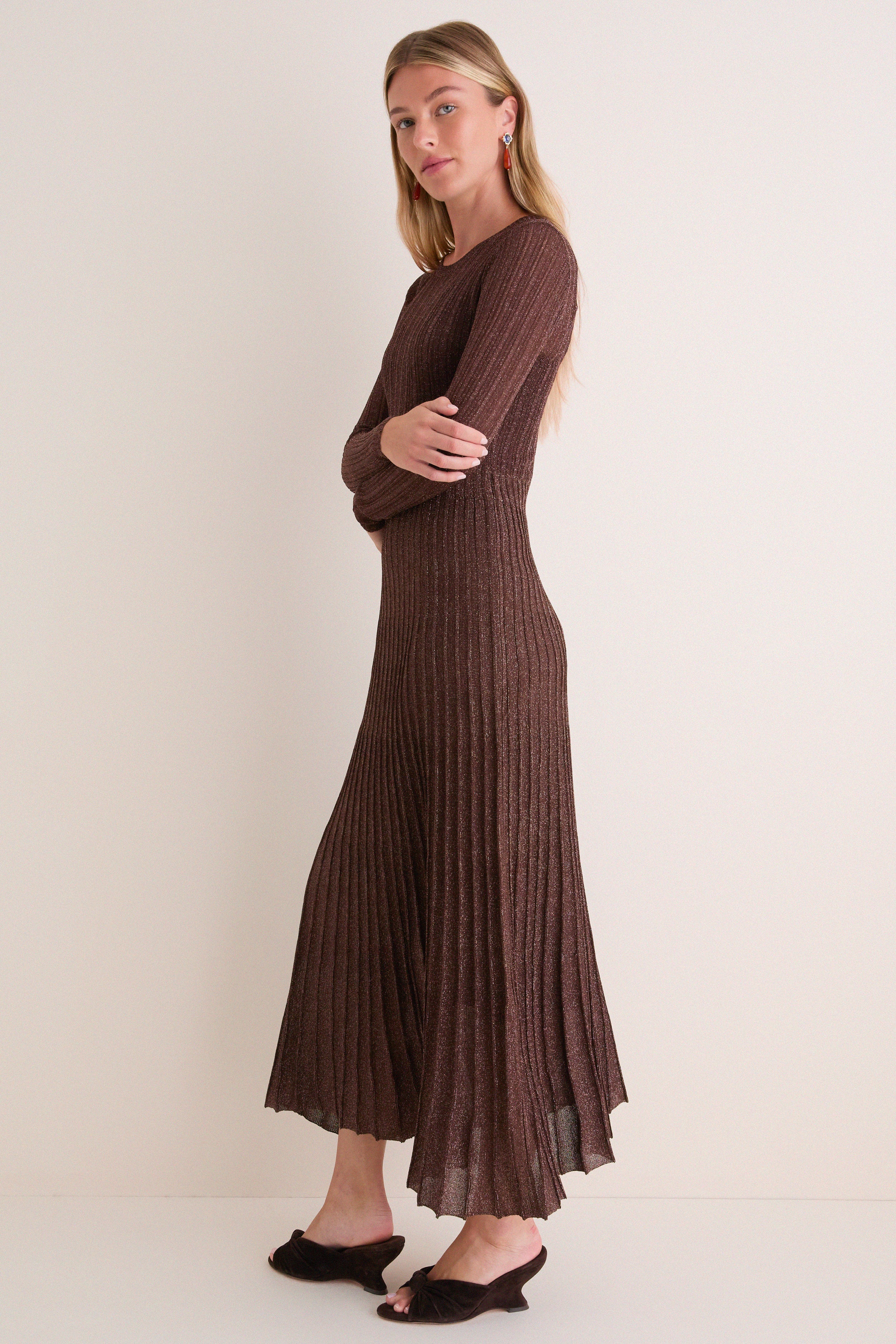 Exclusive Brown Long Sleeve Maxi Dress