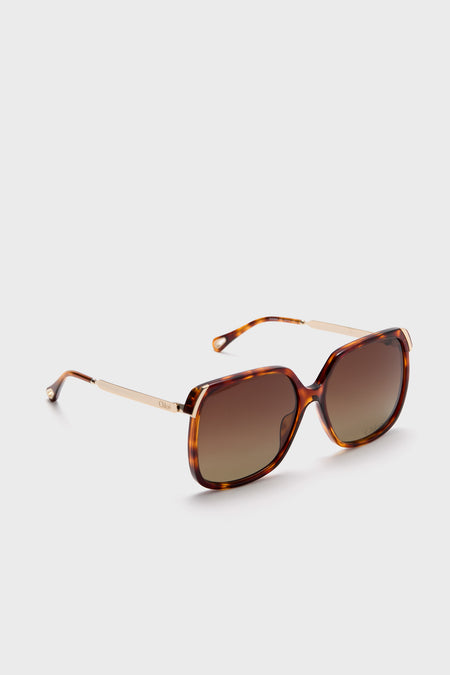 Havana Aly Combi Sunglasses