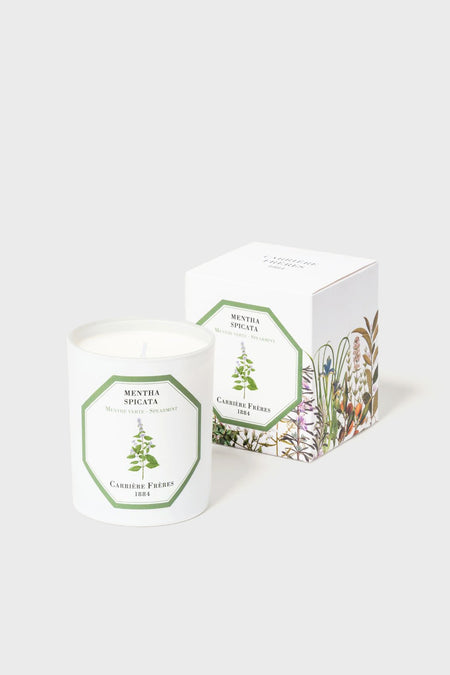 The Carrière Frères Mentha Spicata luxury candle, made in France from vegetable wax, comes in a white glass container with a botanical label and is paired with its decorative box.
