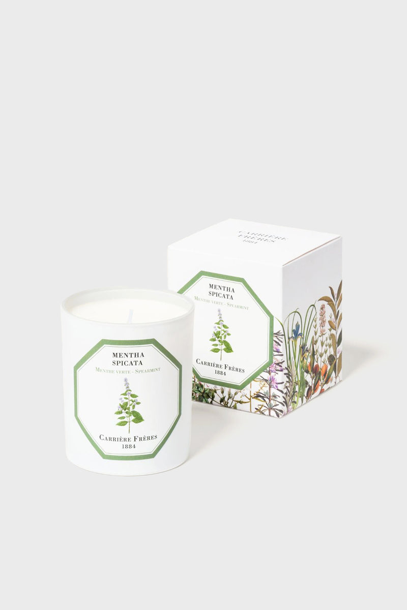 The Carrière Frères Mentha Spicata luxury candle, made in France from vegetable wax, comes in a white glass container with a botanical label and is paired with its decorative box.