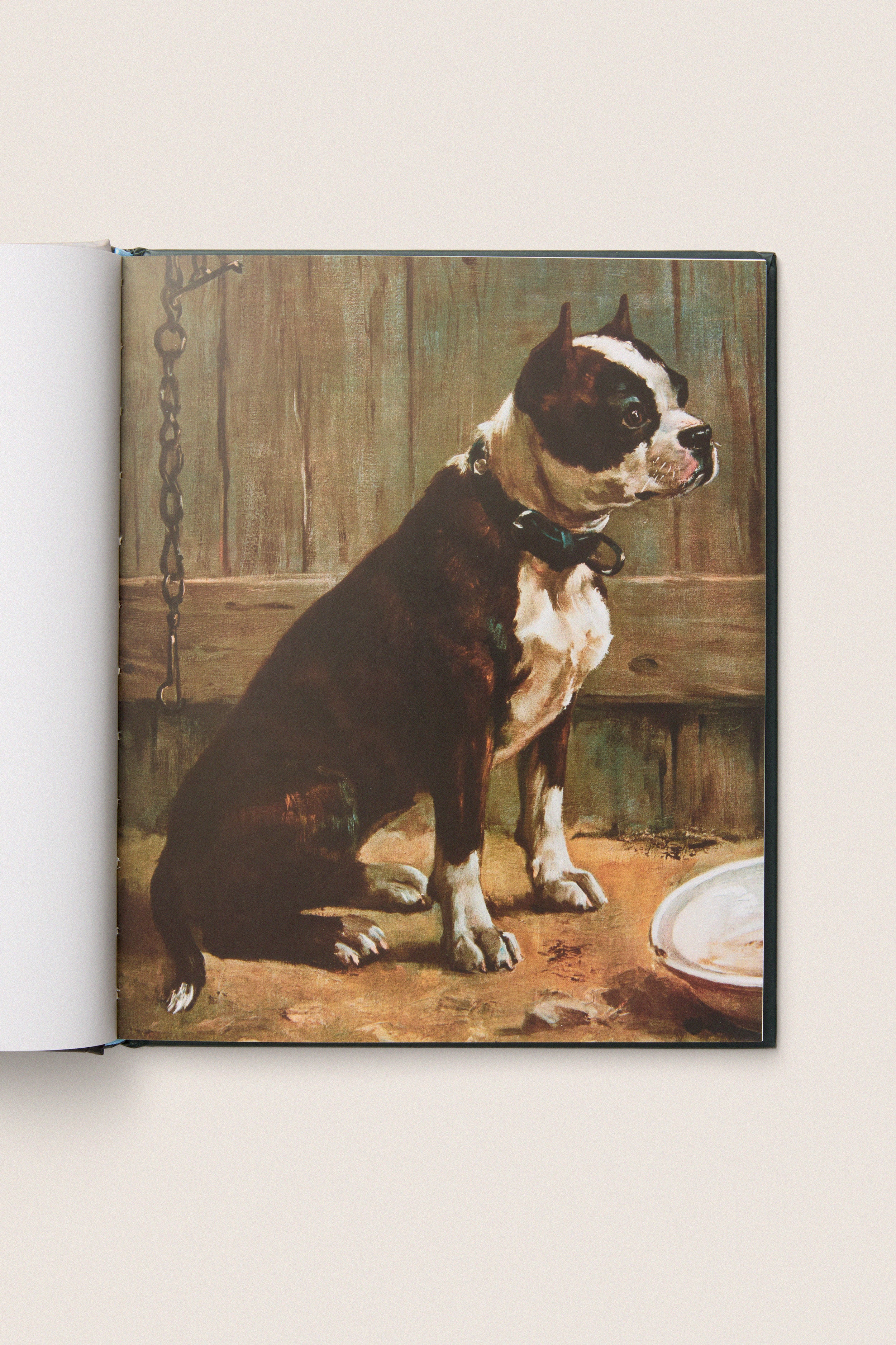 Art Dog: Clever Canines of the Art World | Rizzoli | Tuckernuck
