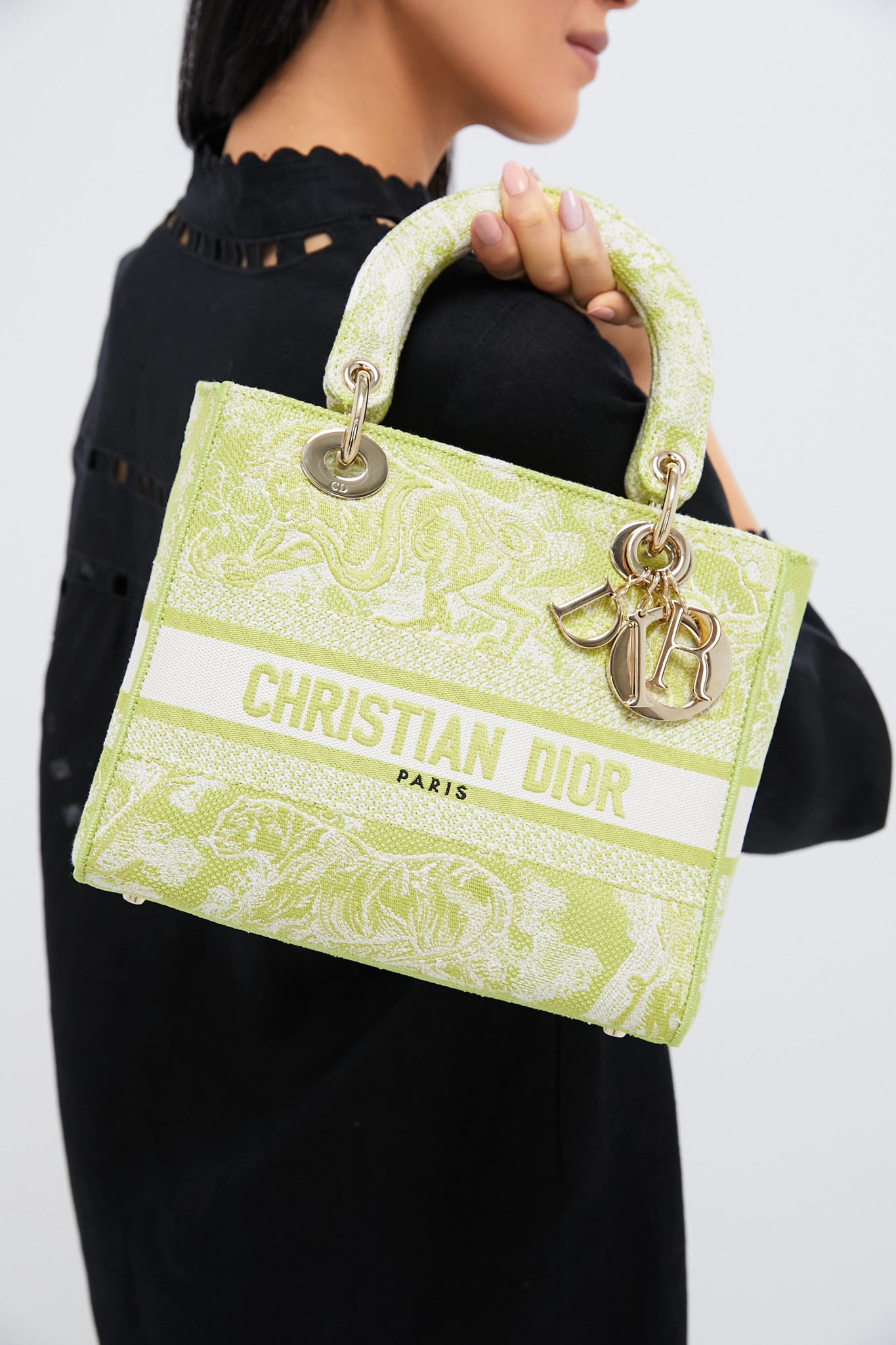 DIOR Embroidered Canvas Toile De Jouy Lady D-Lite Bag
