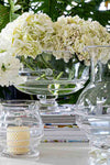 Classic and high-end, the Amalia 10 Footed Bowl holds elegant hydrangeas, complemented by glass vessels, showcasing an effortless and fun centerpiece.