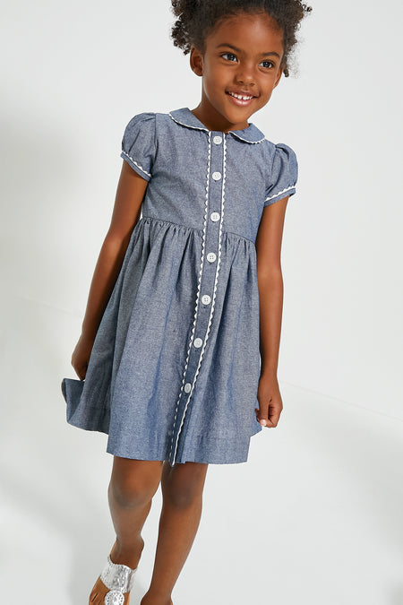 Chambray Button Front Dress