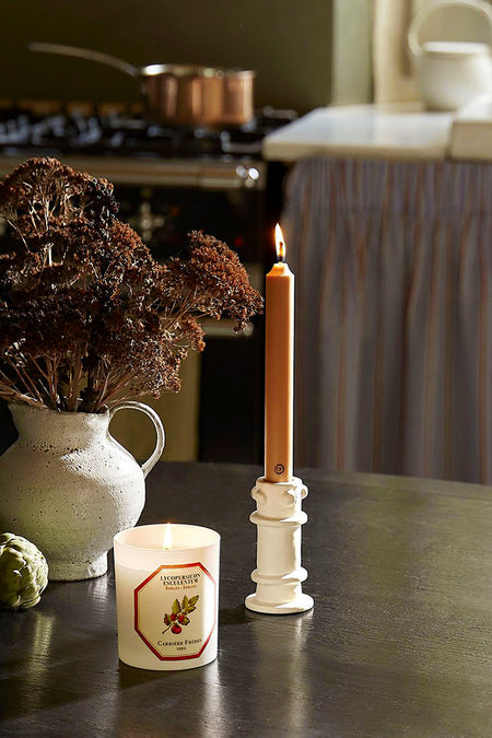Tomato Candle in a classic frosted jar, paired with a sculptural taper candle and rustic décor, embodies effortless elegance and fun, evoking high-end botanical luxury.