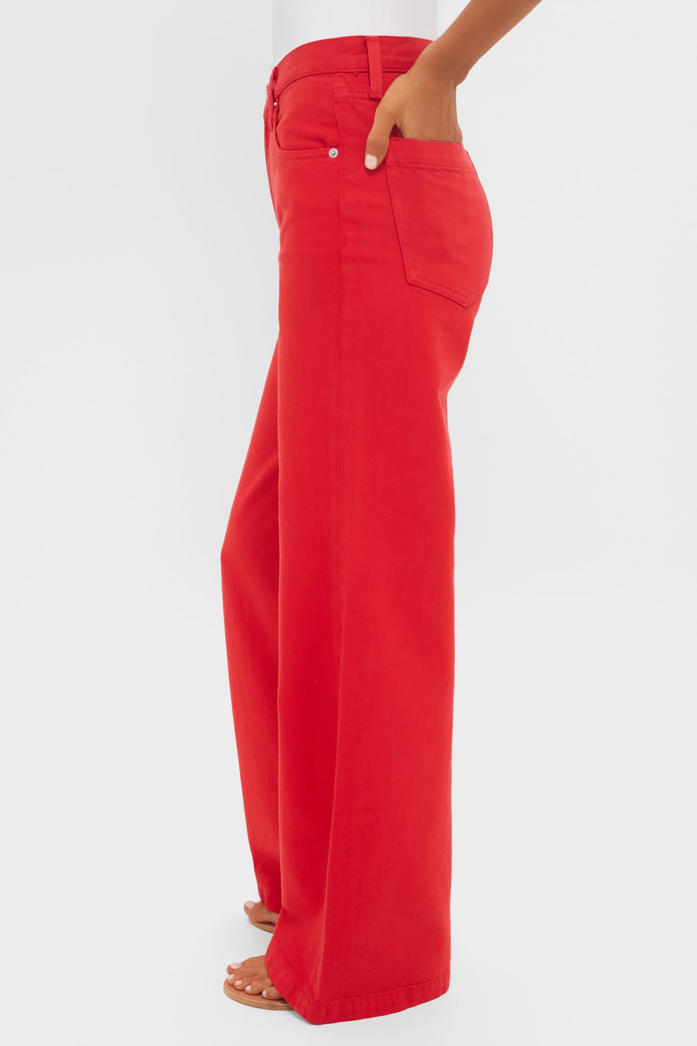 Samba Jadyn Low Slung Palazzo Jeans